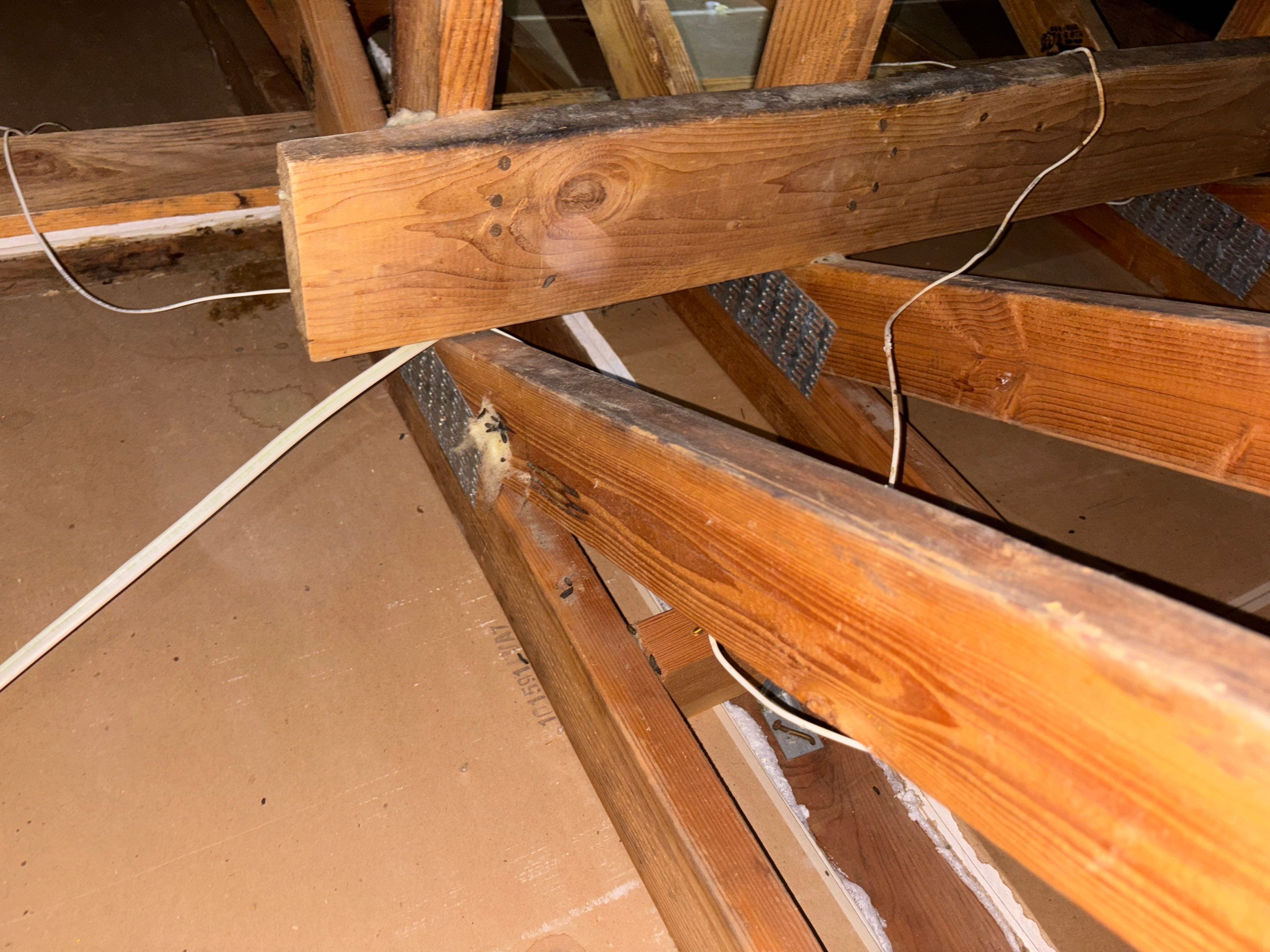 Project in Chino Hills by Insulation Labs