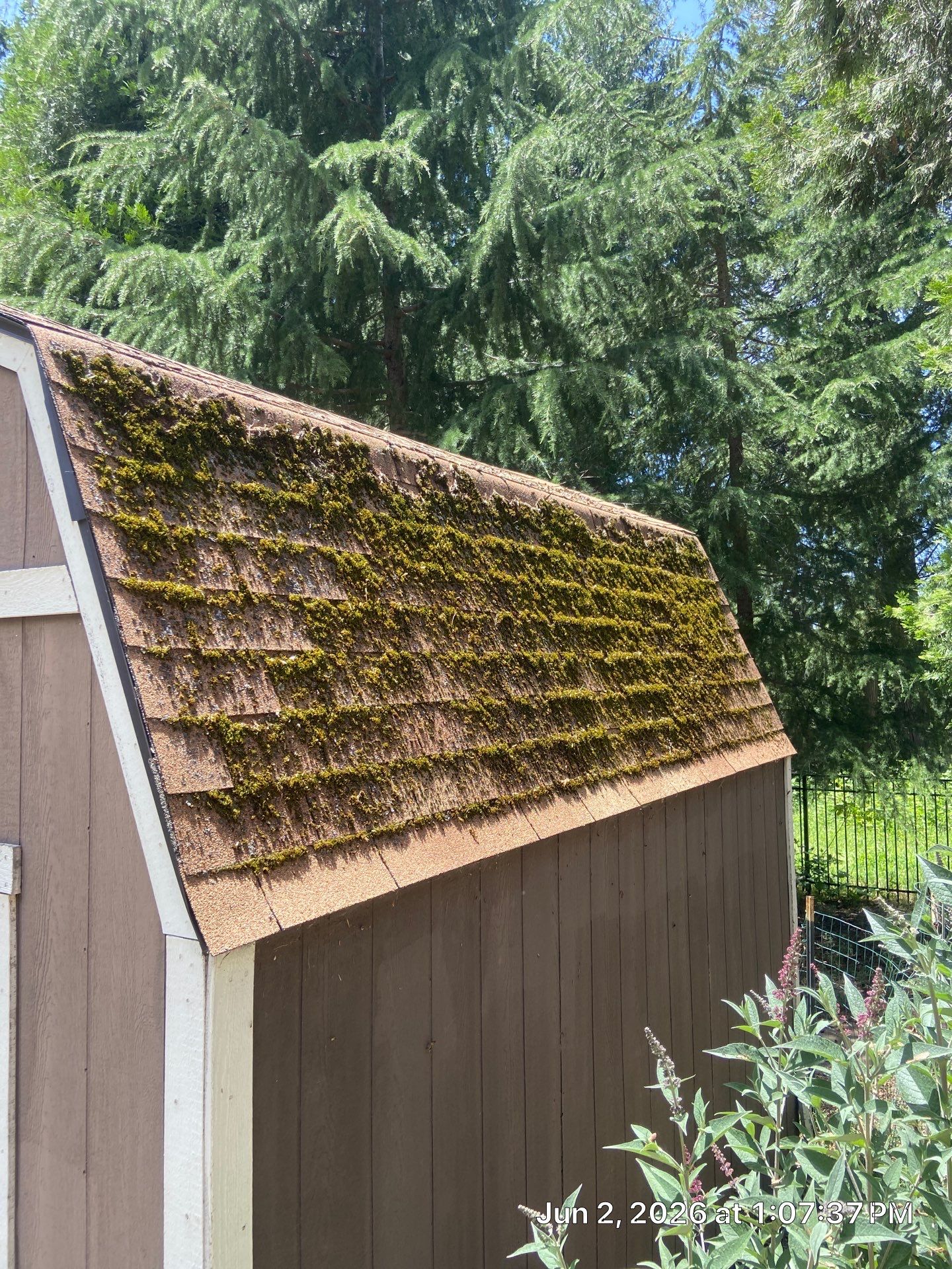 Roof Rejuvenation using Roof Maxx Treatment by Roof Maxx of Folsom