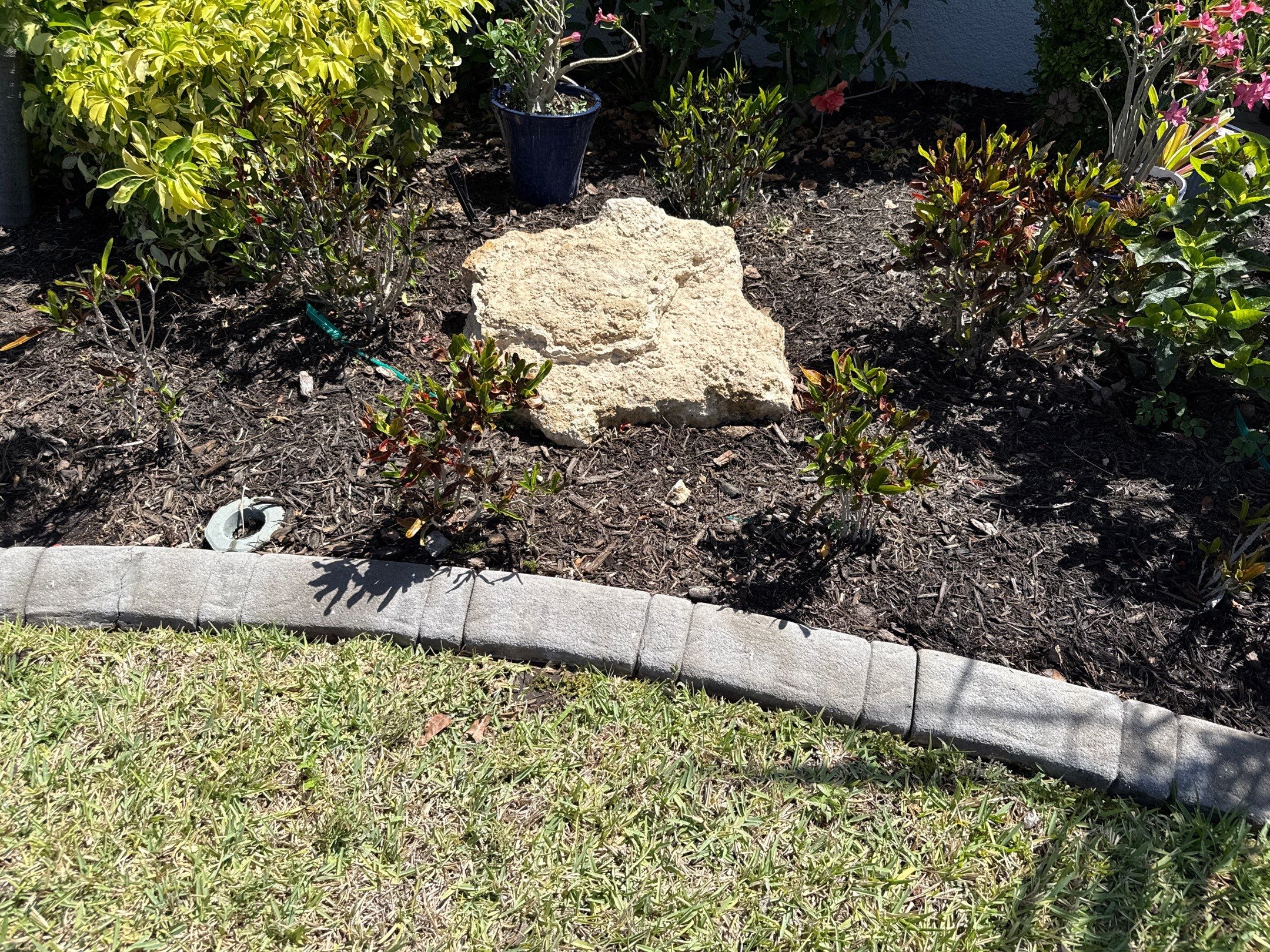 Paver Driveway & Concrete Cleaning | Trevesta Community | Palmetto, FL by Sunshine AquaWash