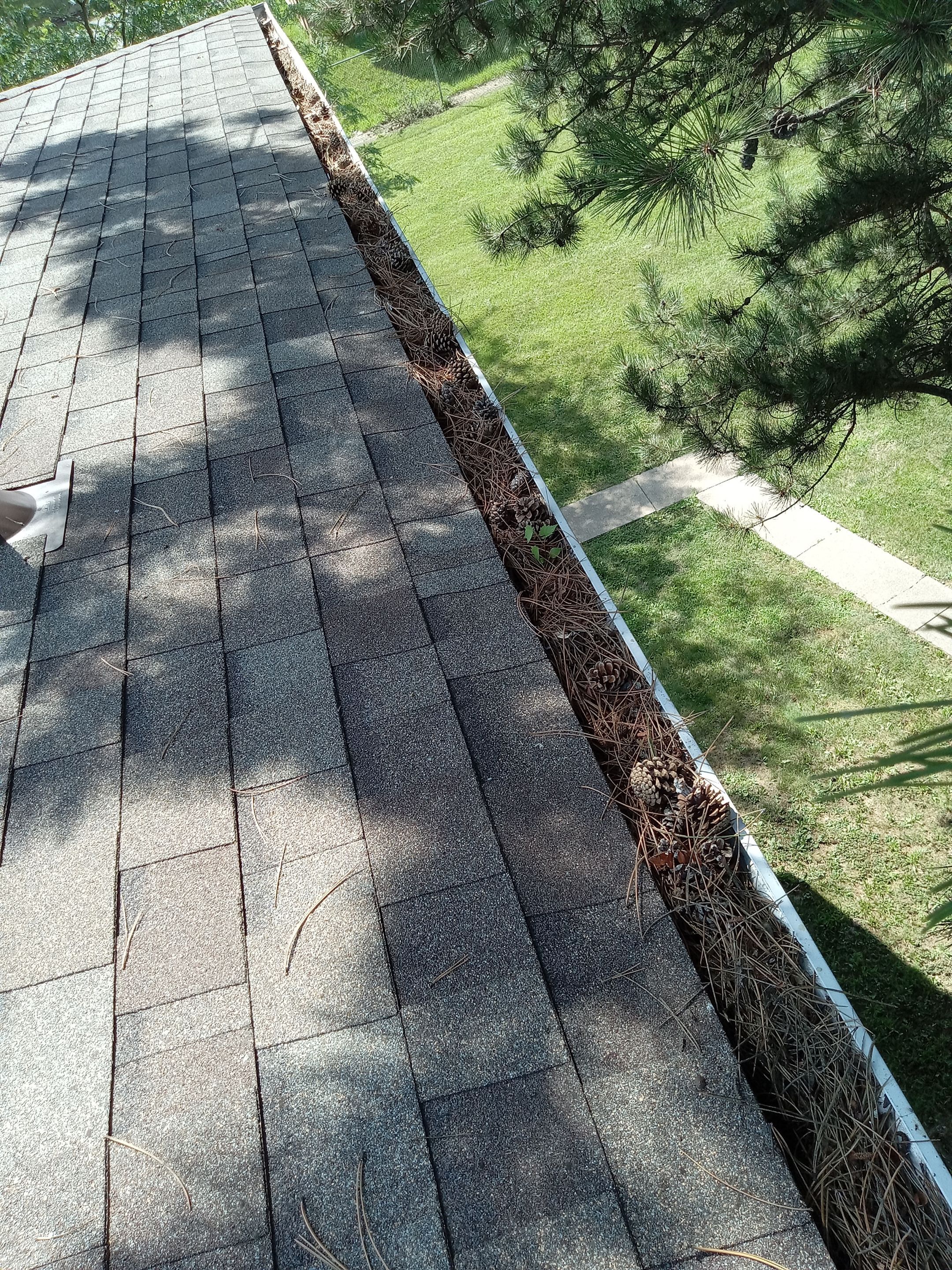 Commercial gutter cleaning Toledo, OH before photo with filled gutters