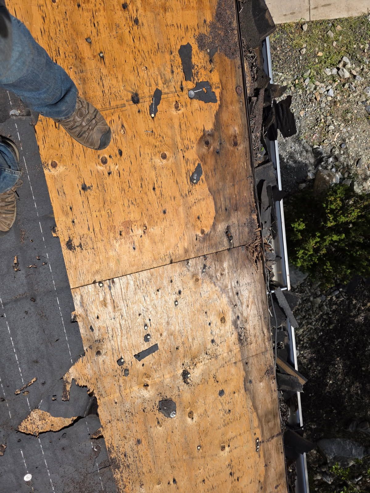 Mitch Rigby by Unified Roofing
