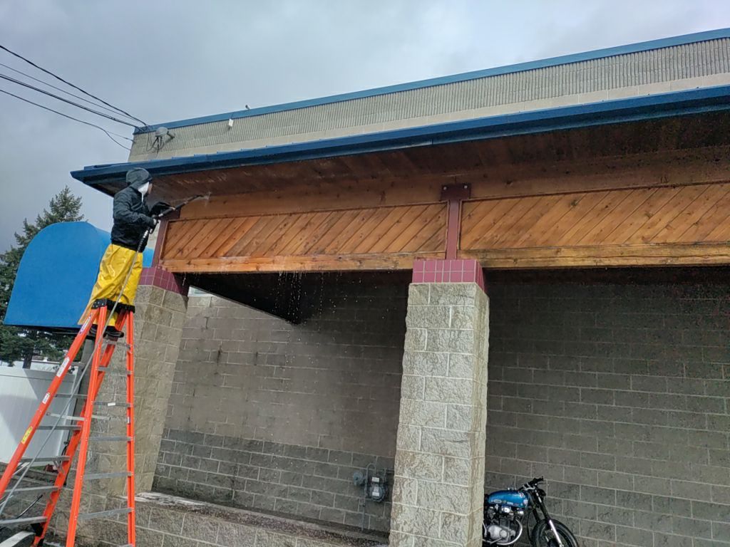 Cedar Siding Restoration using Sharkskin Brightener by Paul Schopp