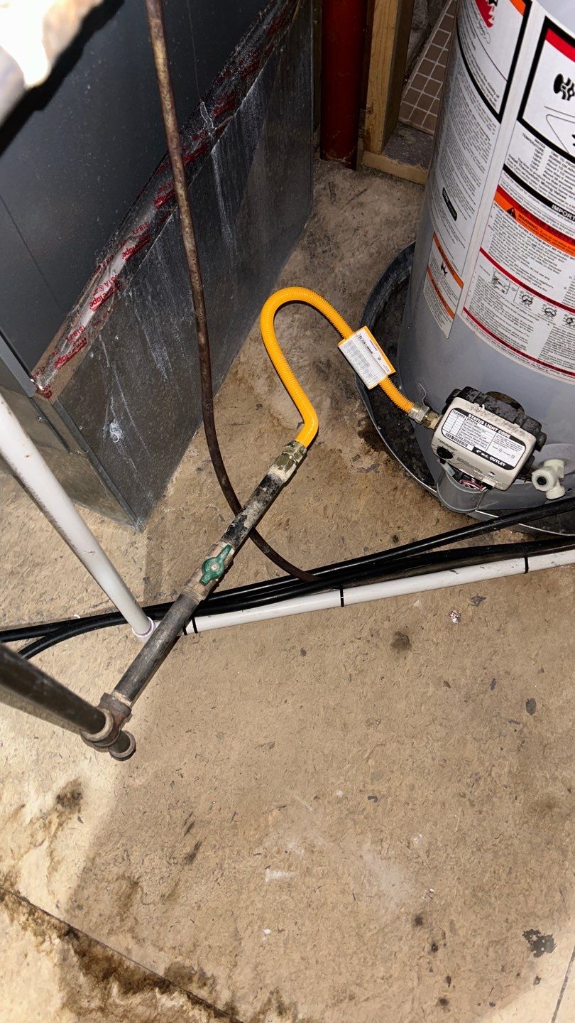 Mold Damage by Accountable Home Services