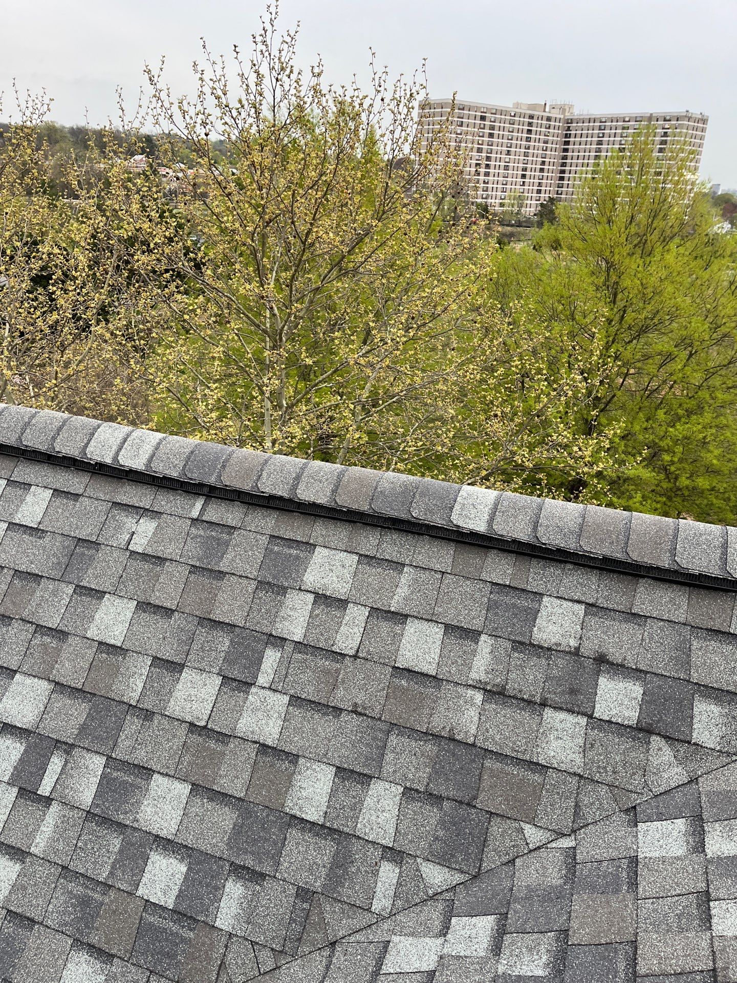 Alexandria: CertainTeed Landmark Pro Designer Shingles in Max Def Georgetown Gray by RM Banning, Inc.