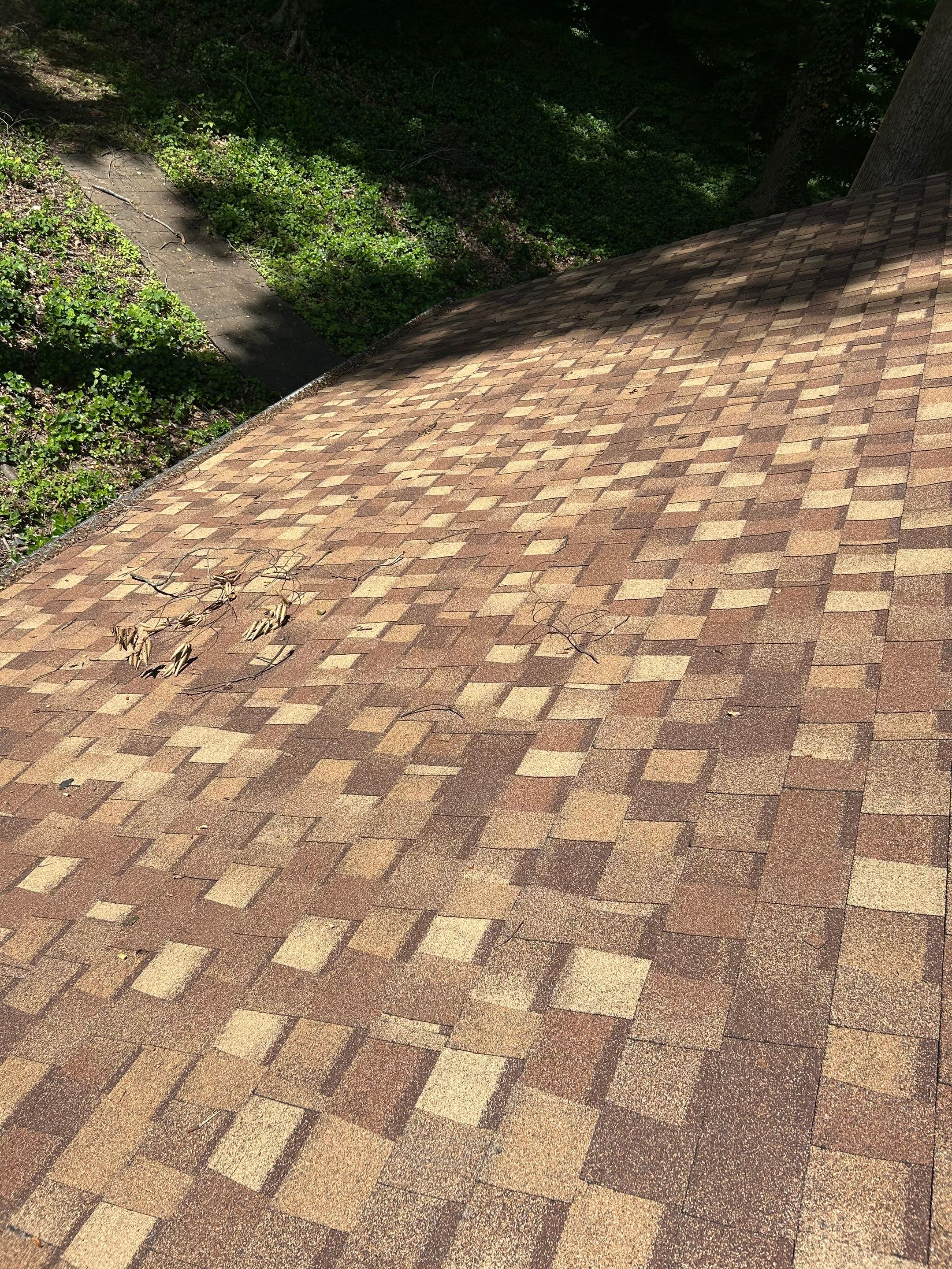 Annandale: Multi-Trade Tree Damage Restoration by RM Banning, Inc.