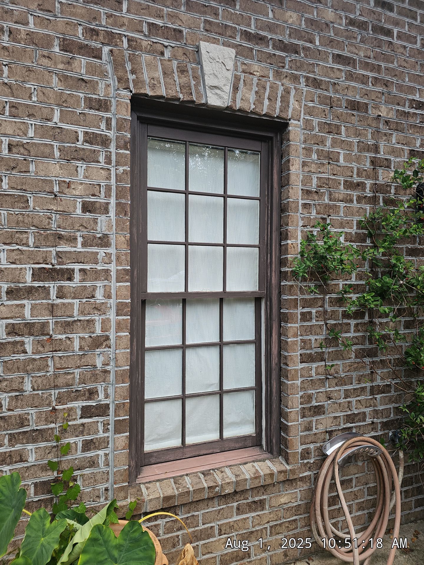 Lewis Project in Hoover by The Window Source