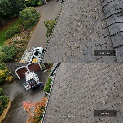 Softwash roof