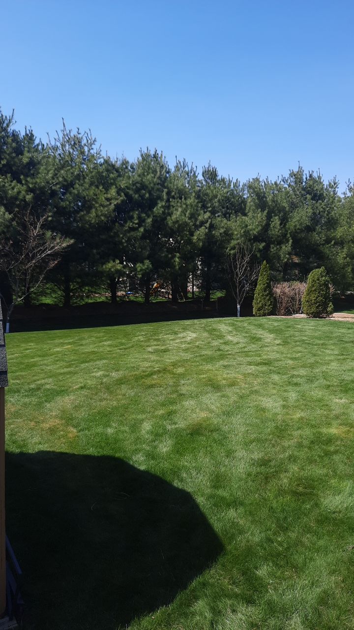 Tree Removal using Tree Removal by Mike Jones & Sons Tree Service LLC 