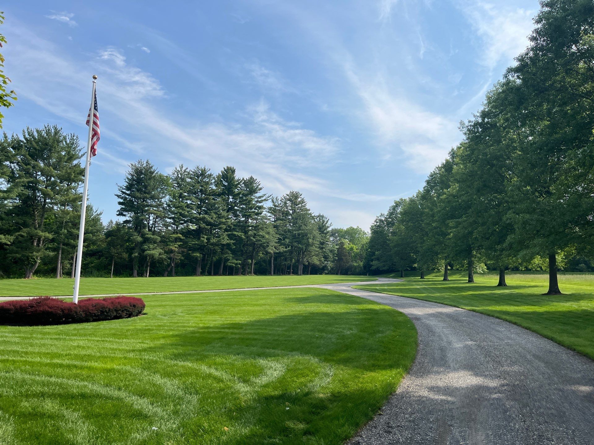 Professional Lawn Care for Far Hills Estate by Ants Plants