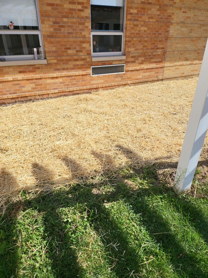 Courtyard Renovation by Carrs lawn and landscape