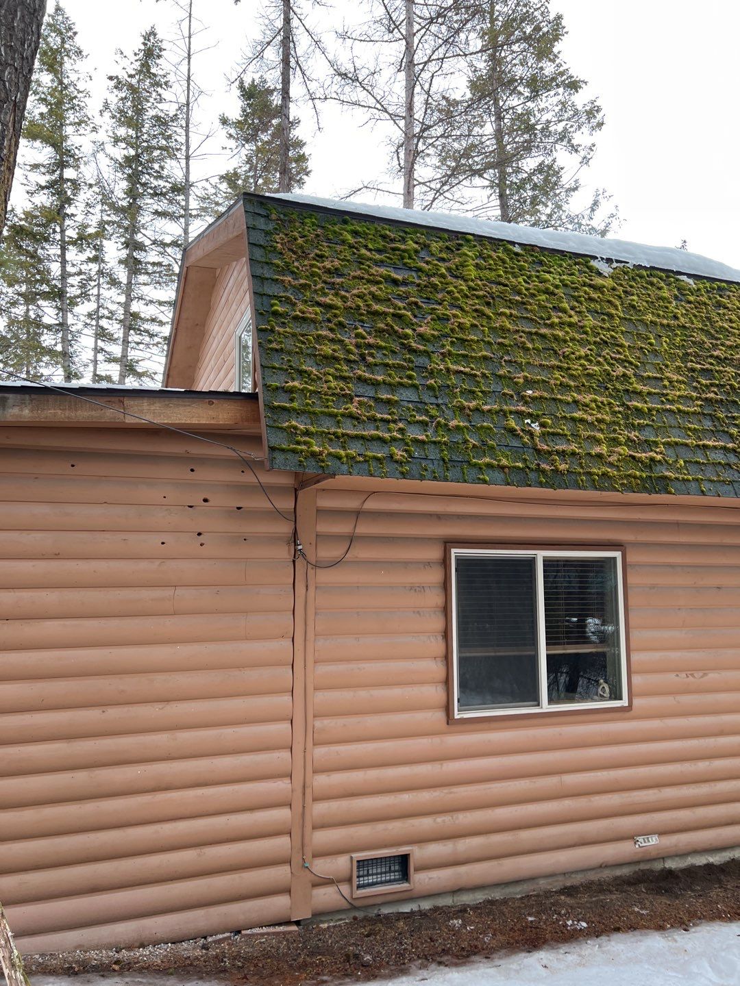 GAF Timberline HDZ - Hunter Green by Montana Roofing Solutions