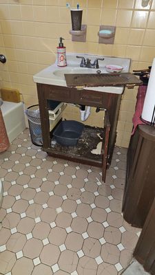 Water Damage Claim in Philadelphia