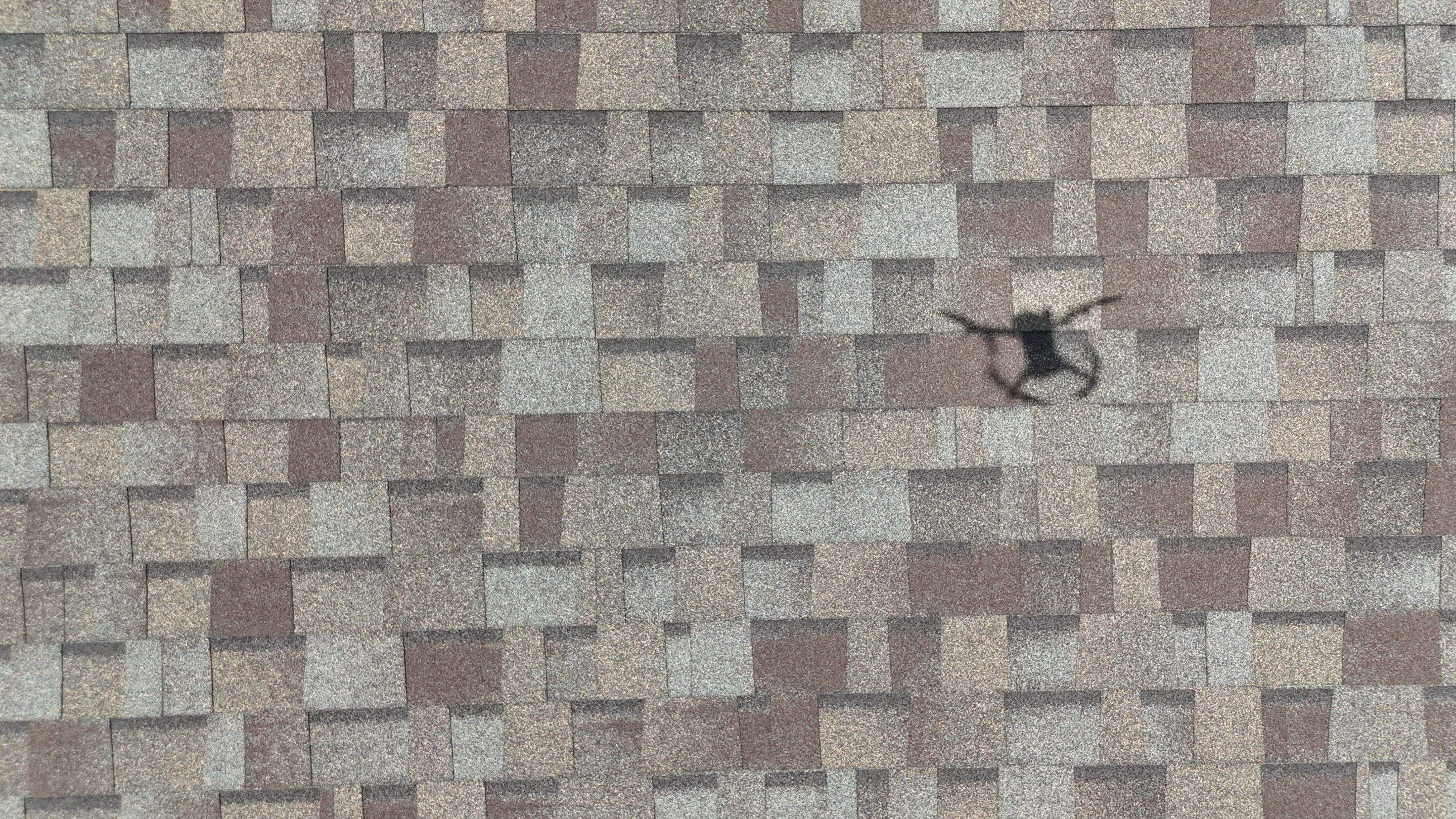 Slatestone Gray - Owens Corning TruDefinition Duration by RoofsOnly.com