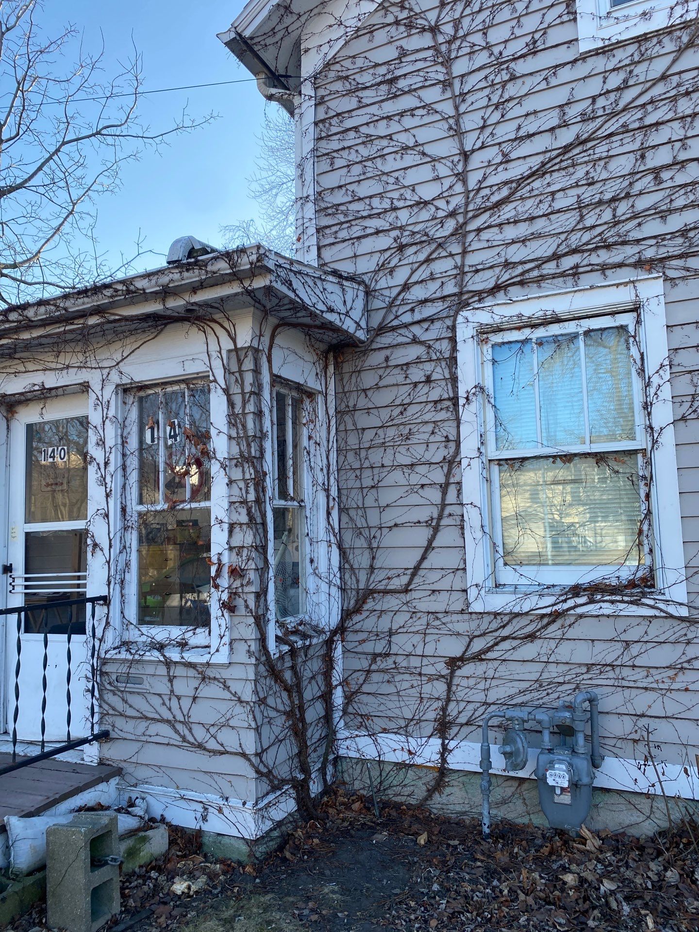 Vine Removal by Shulla Exterior Cleaning
