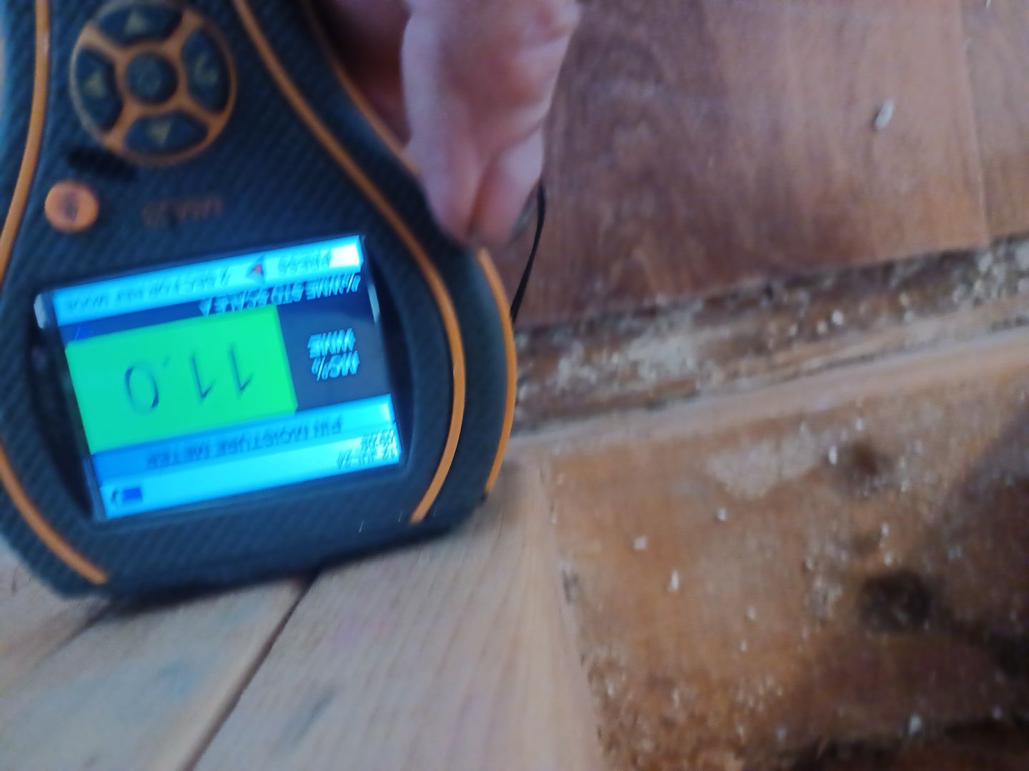 Project in New Haven by EzDry Water Mitigation & Property Restoration