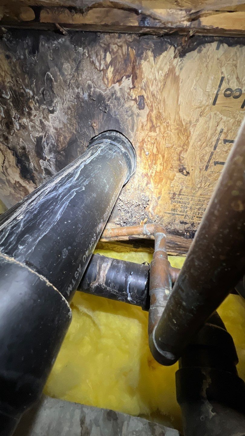 Mold Remediation by Accountable Home Services