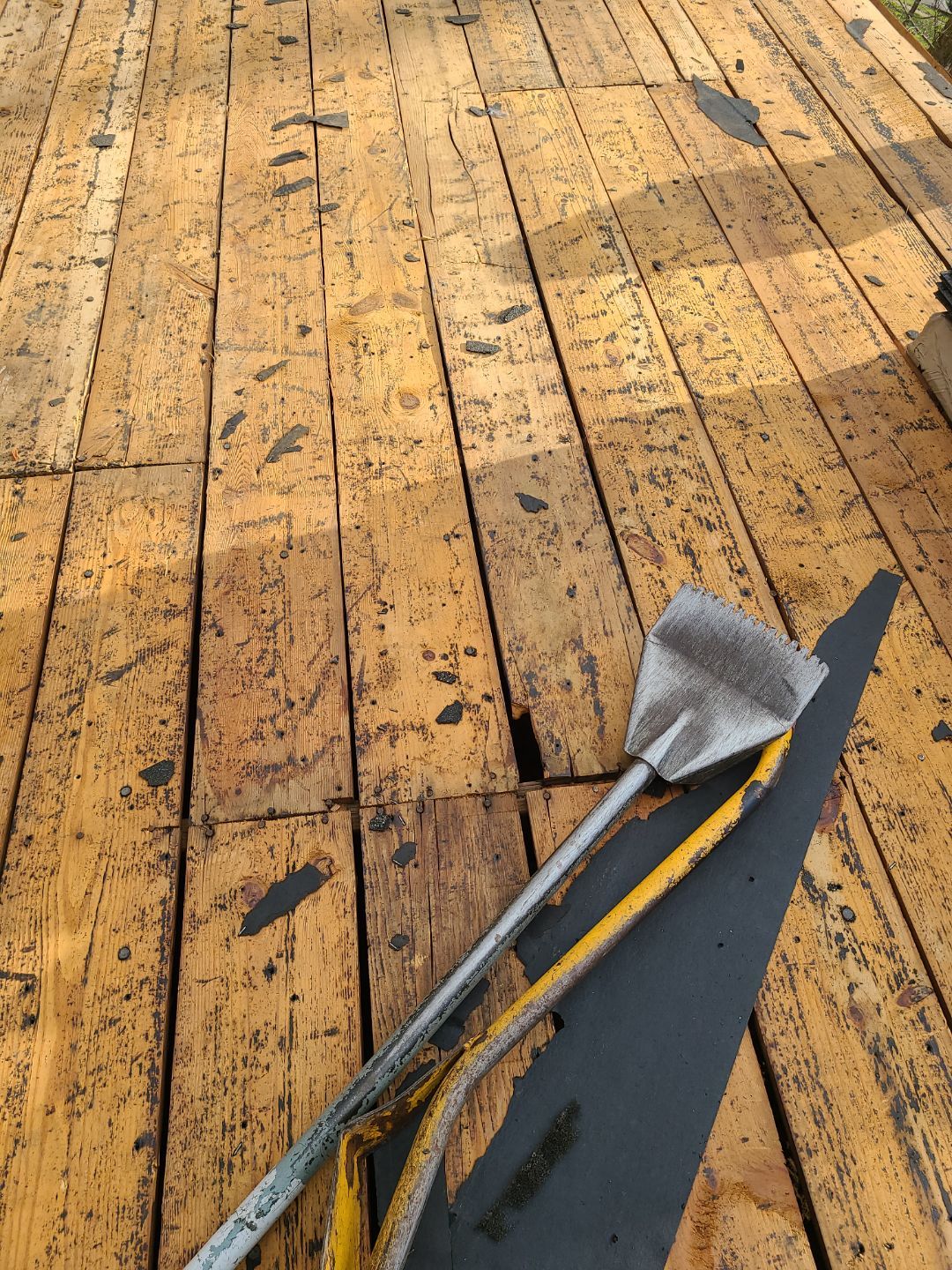 Alexandria CertainTeed Landmark Pro Roof in Max Def Charcoal Black by RM Banning, Inc.