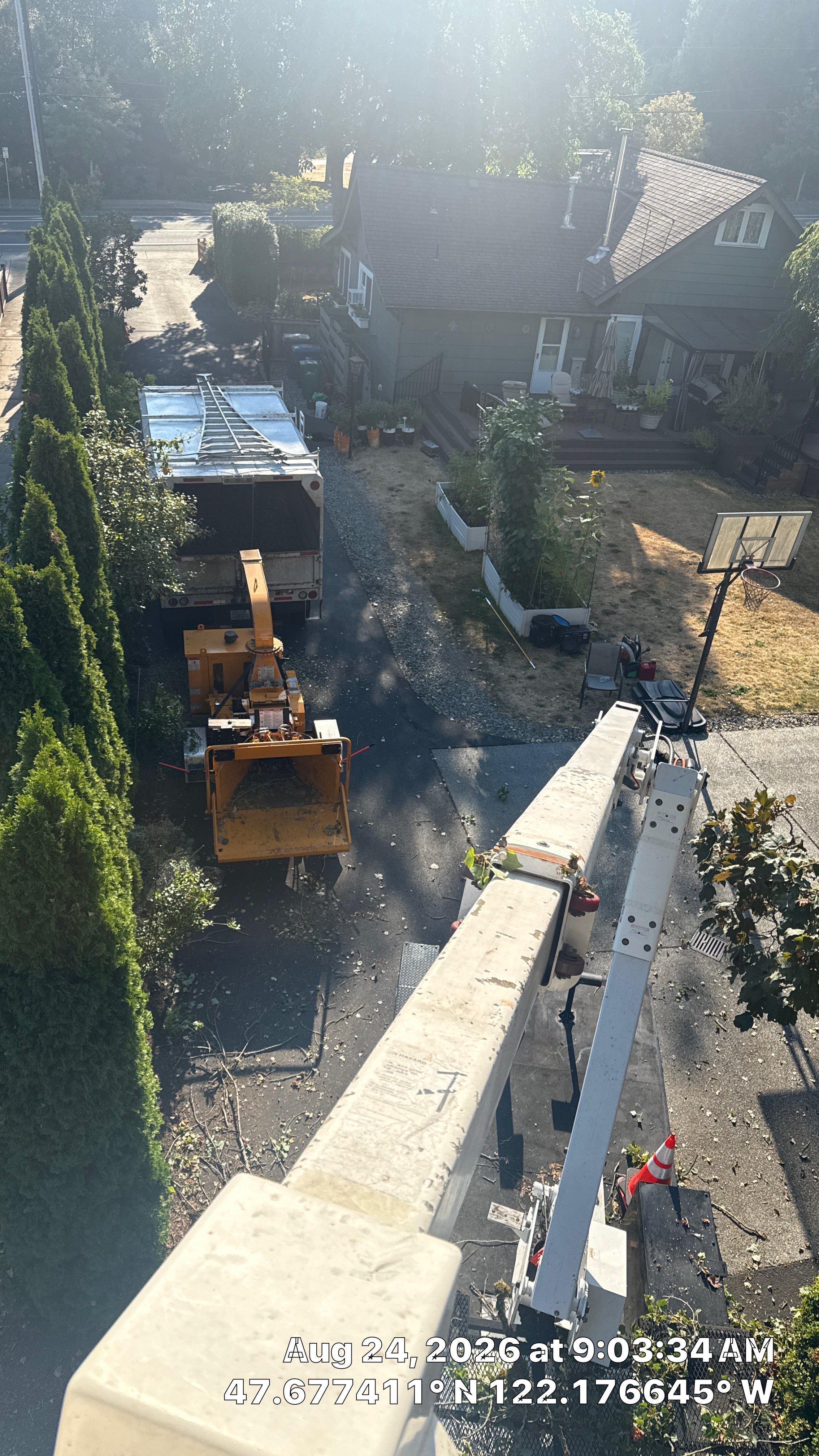 Kirkland Dead and Declining Tree Removal by Sound Tree Care LLC