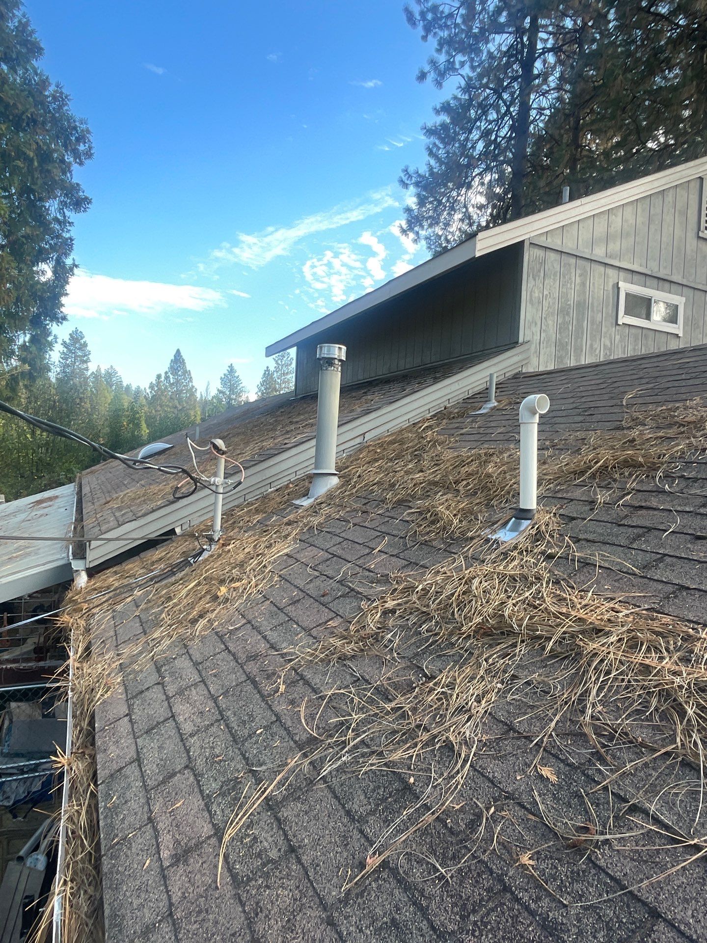 Roof Rejuvenation using Roof Maxx Treatment by Roof Maxx of Folsom