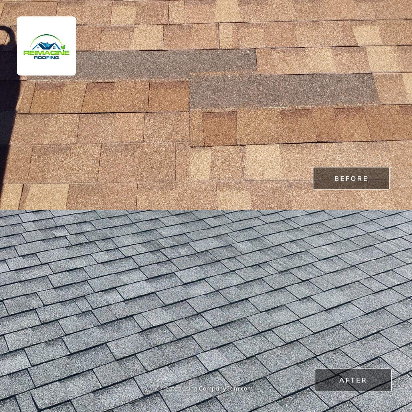 Silver Birch Shingles by Reimagine Roofing