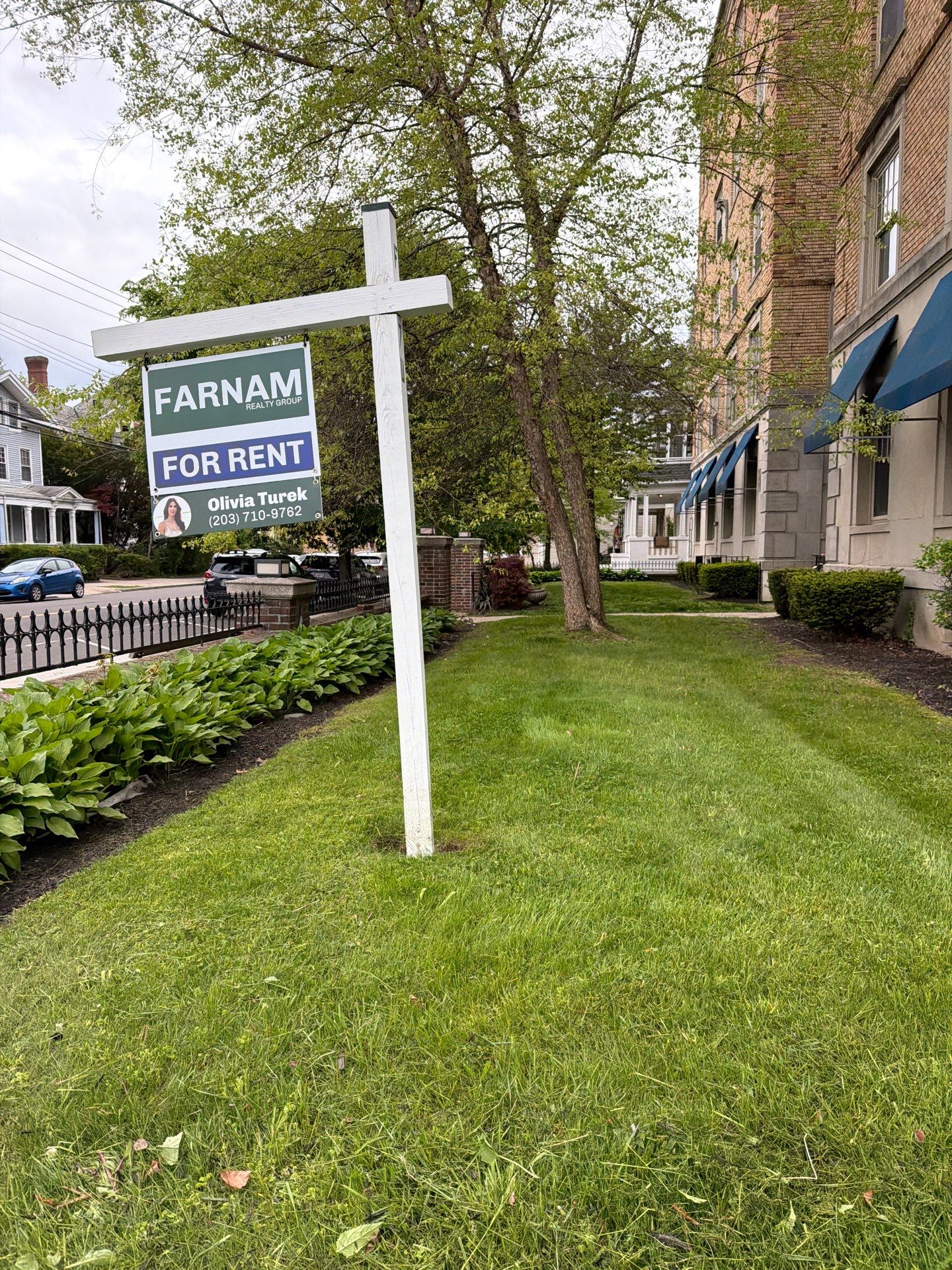 Professional Lawn Care and Seasonal Landscaping in New Haven by Diamond Image LLC