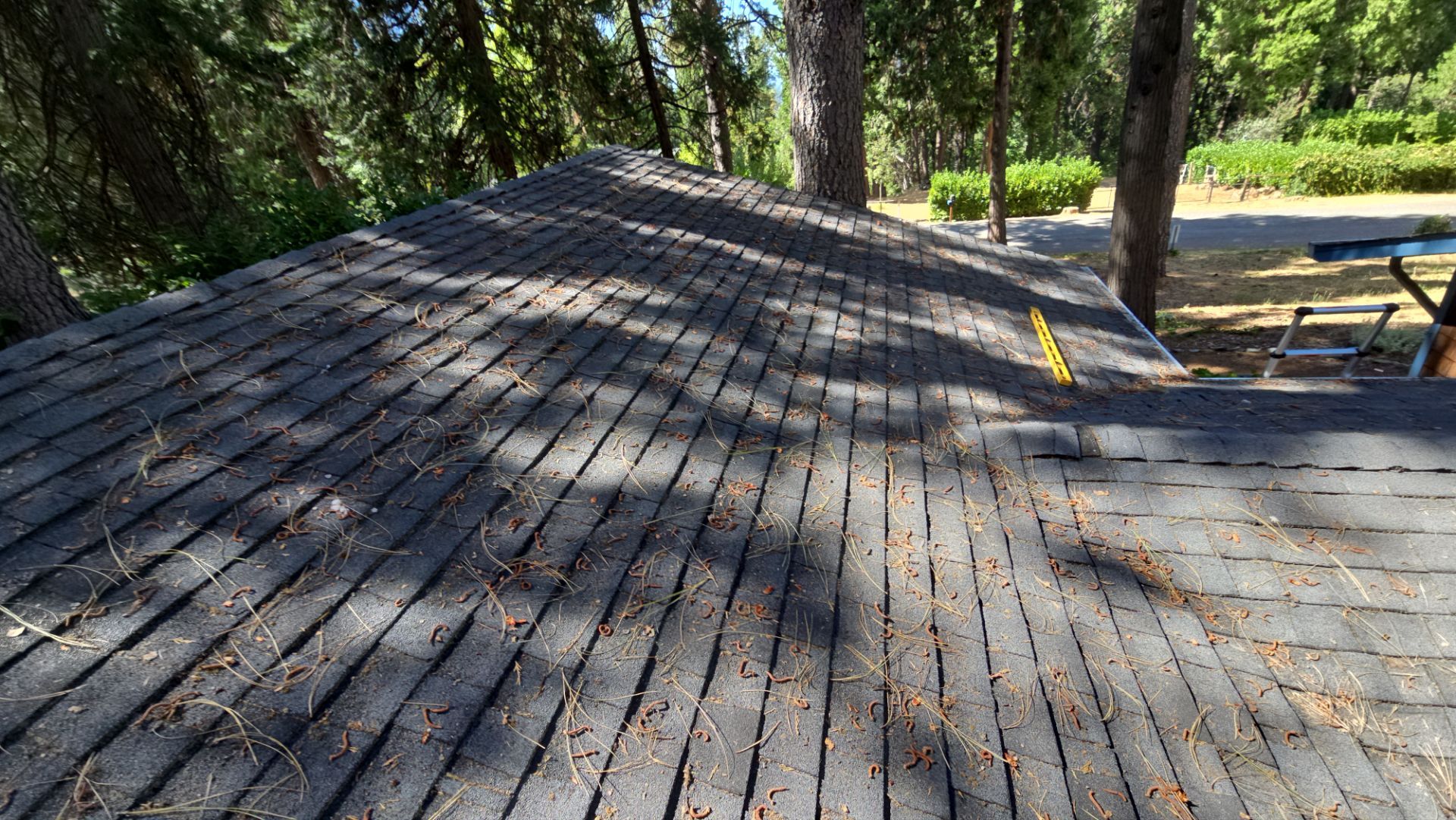 Roof Rejuvenation using Roof Maxx Treatment by Roof Maxx of Folsom