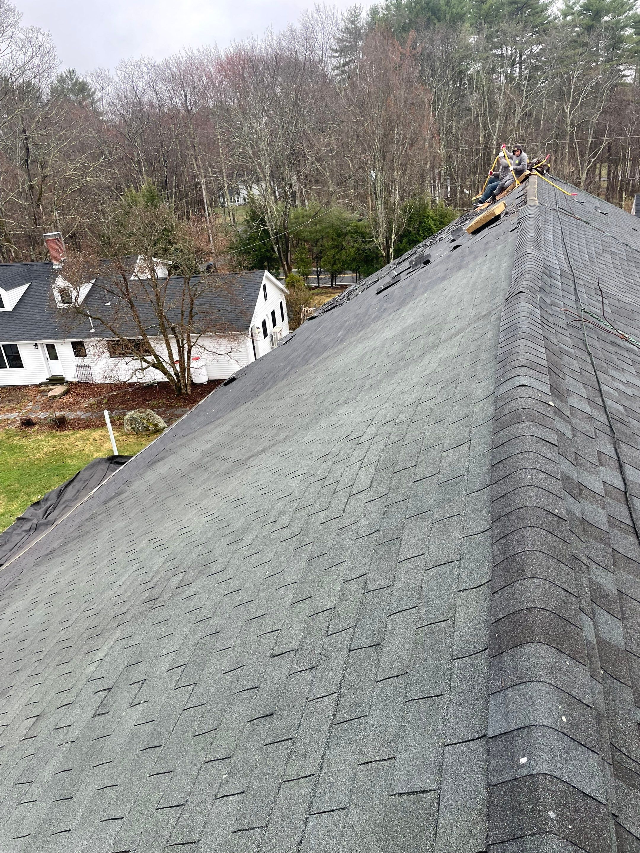 Architectural Shingle Roof Replacement for Red Barn in Falmouth by Tall pine roofing