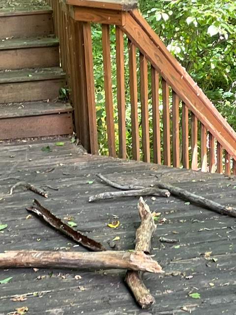 Property Damage Claim in Lititz by FLAPA & KeyStone