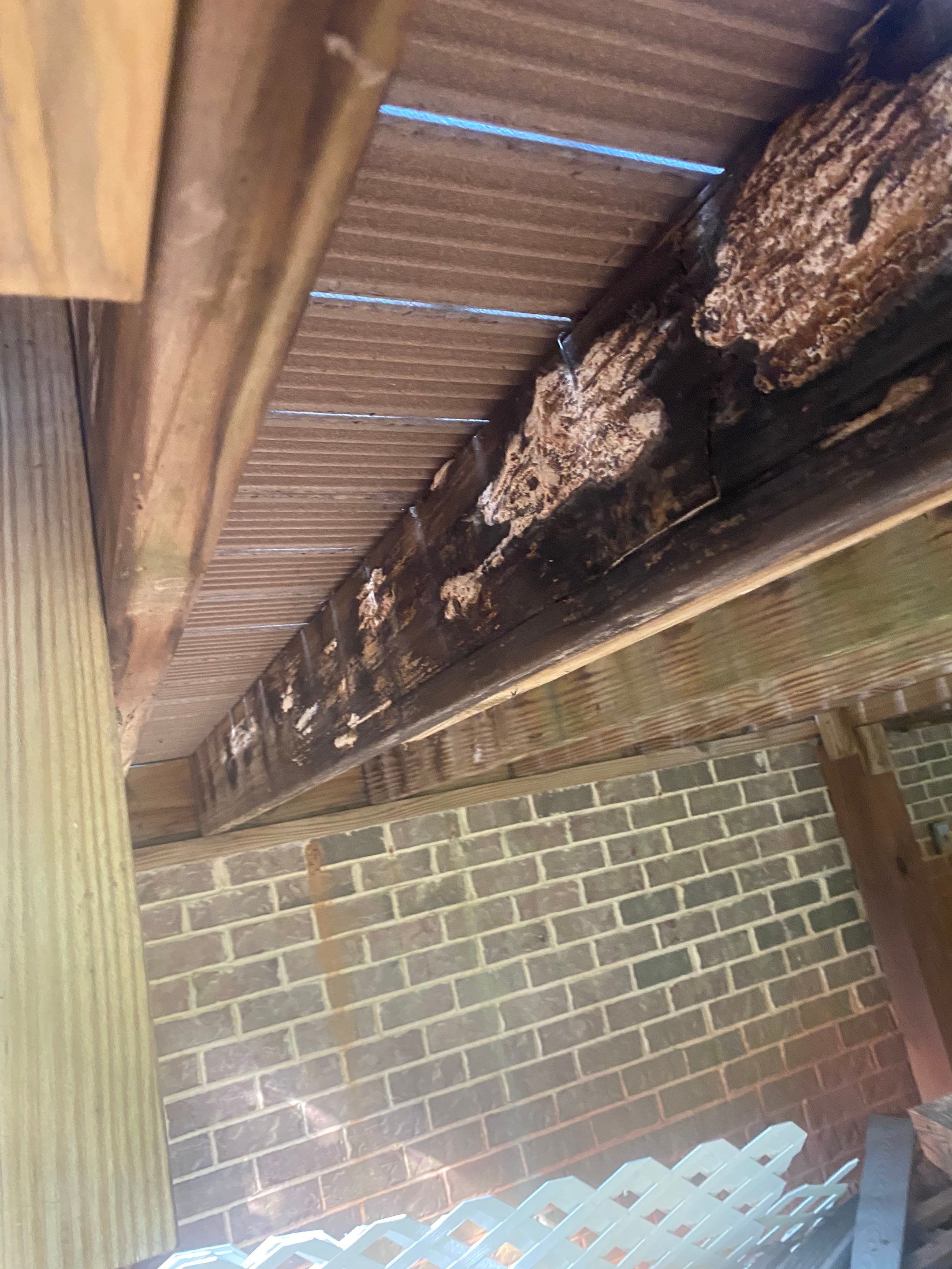 Deck Restoration in Watkinsville by Baxter Professional LLC