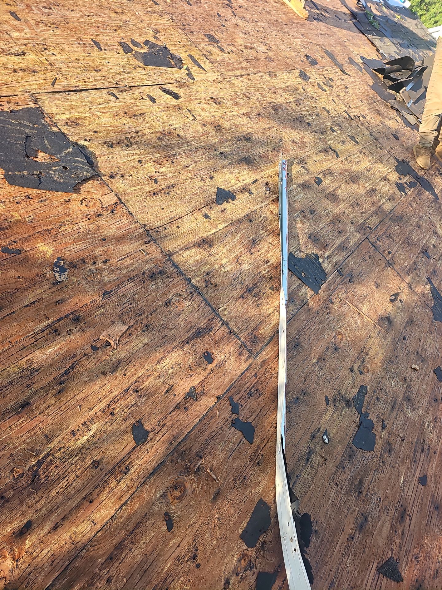Roof Replacement by Winchester Roofing