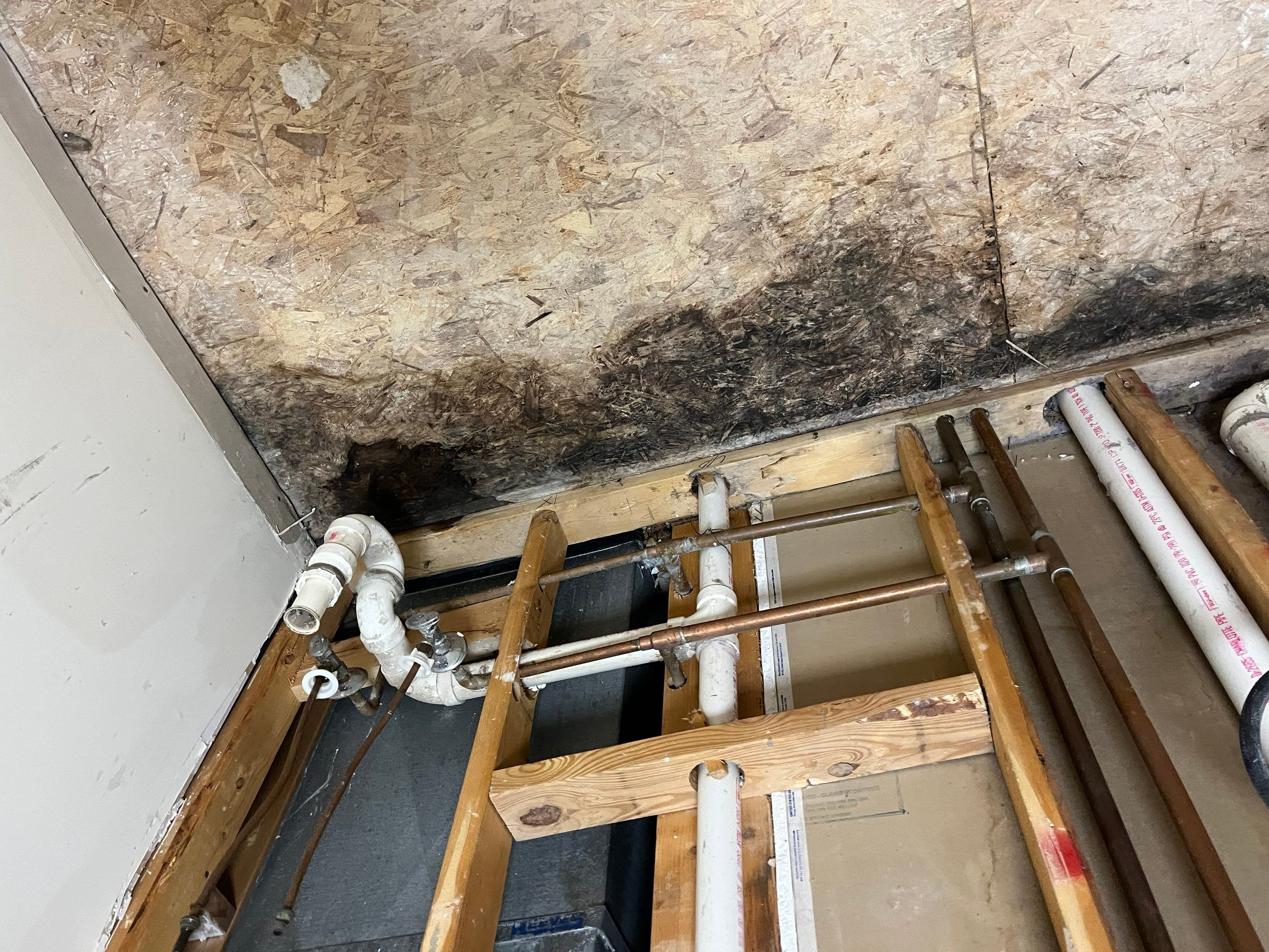 Mold Remediation/Repairs in Crestwood, KY by ANR Restoration