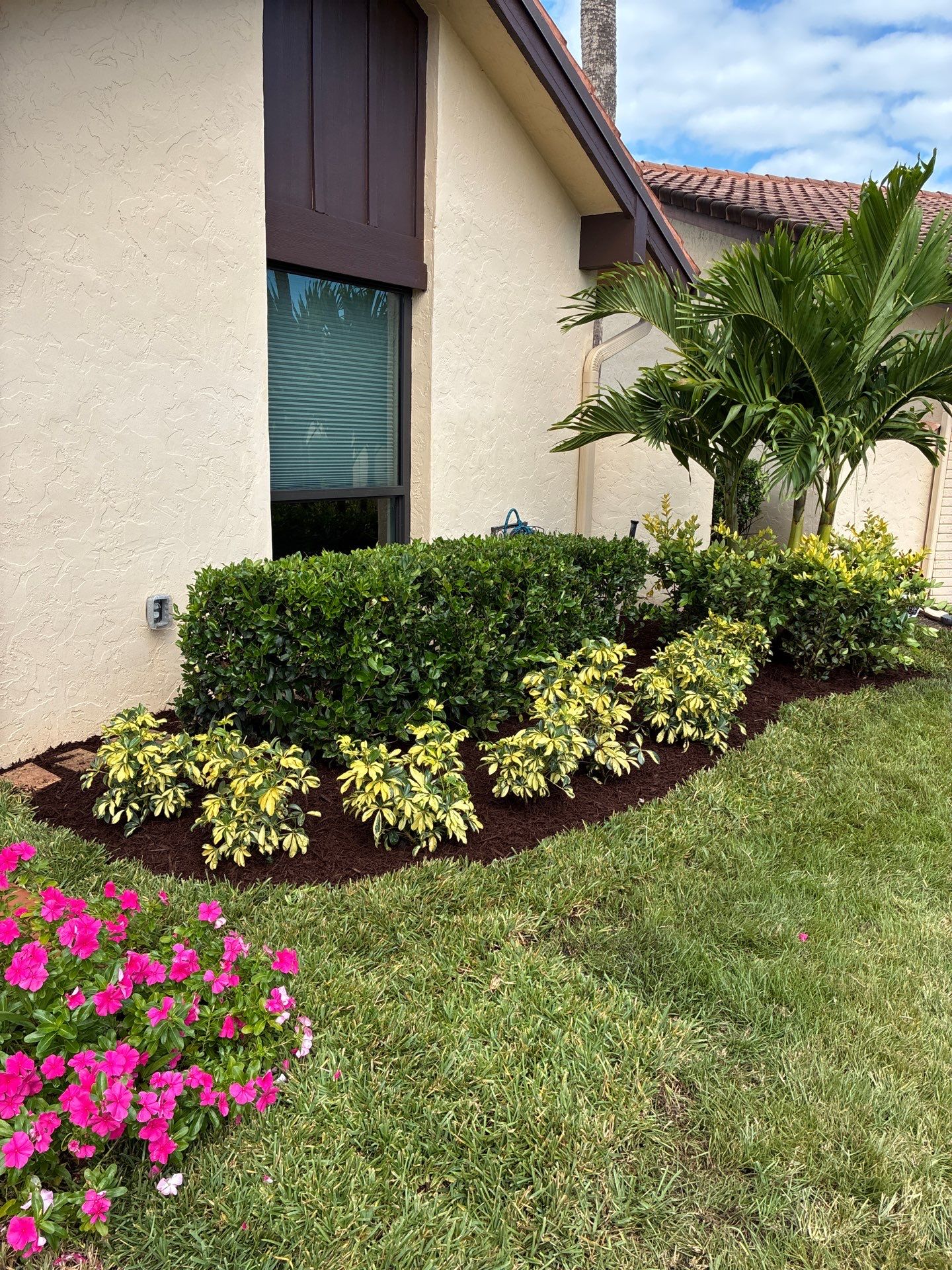 🌴 "Ibis Point Refresh - Palm City Curb Appeal" by Alpha Zeta Enterprises Inc