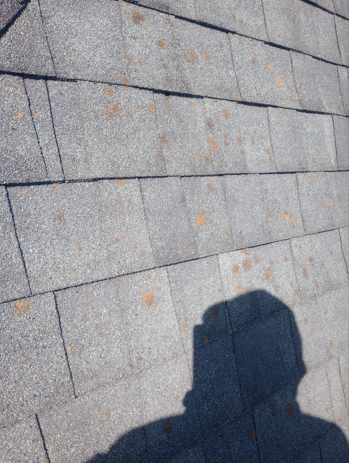 Residential Roofing Installation using Owen's Corning Duration (Lifetime) Shingles by Roof Repair Services LLC