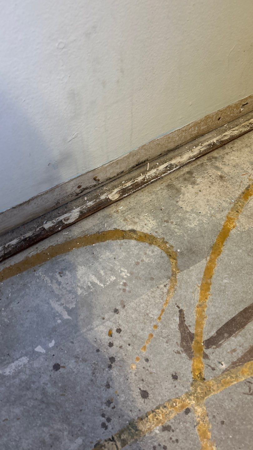 Mold Remediation by Accountable Home Services