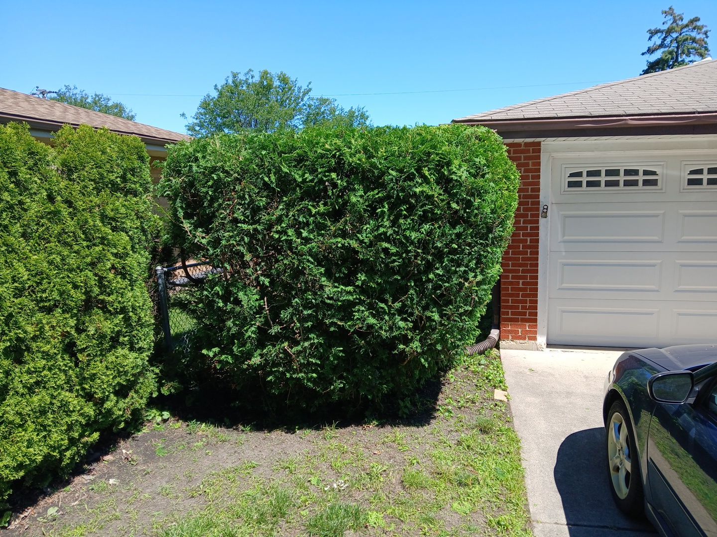 Martha C. - Mount Prospect, IL by A&N 