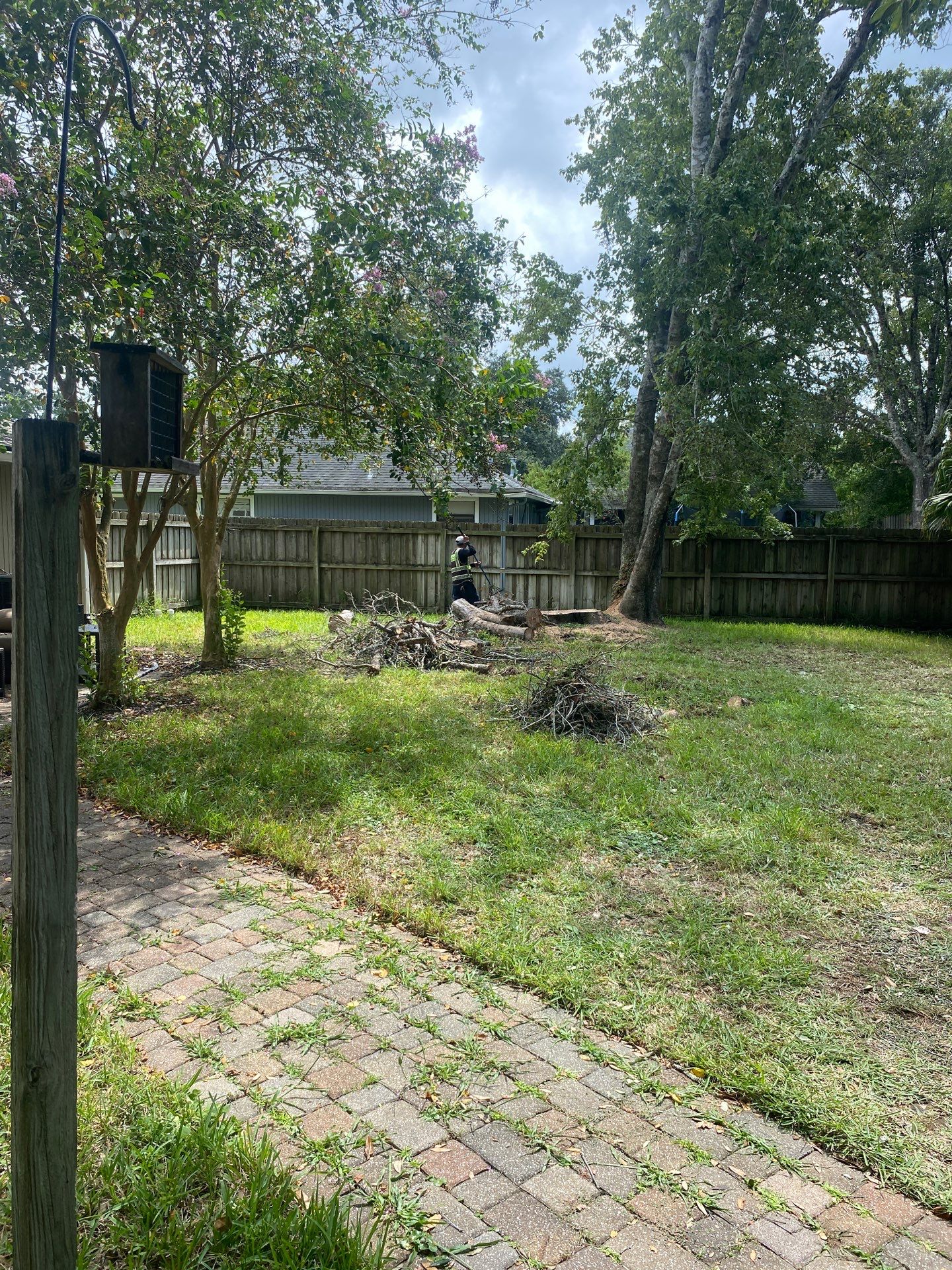 Tree Removal | Residential by ProGreen Services