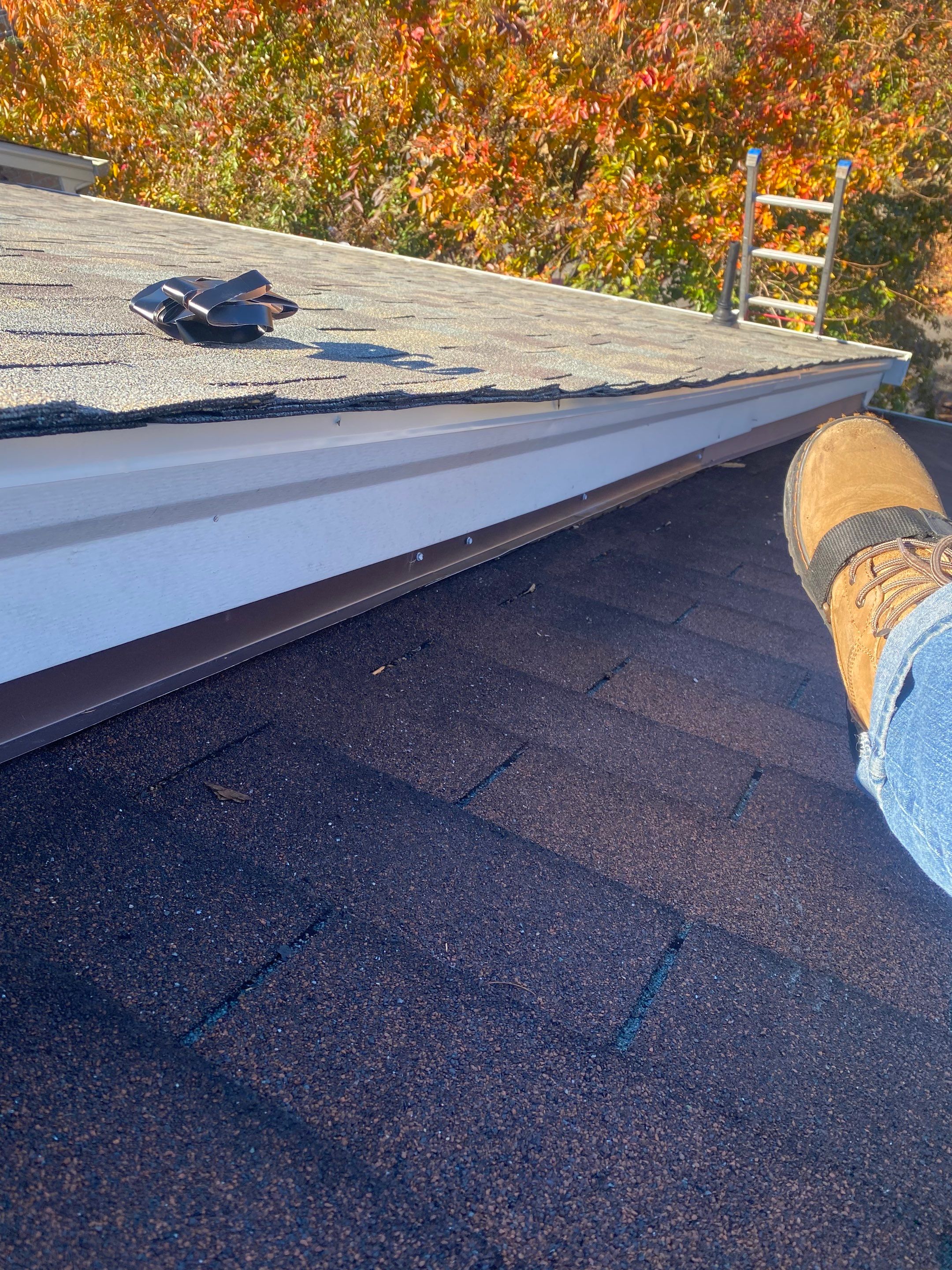 Alexandria : Residential Roof Replacement with CertainTeed Landmark Pro in Max Def Weathered Wood by RM Banning, Inc.