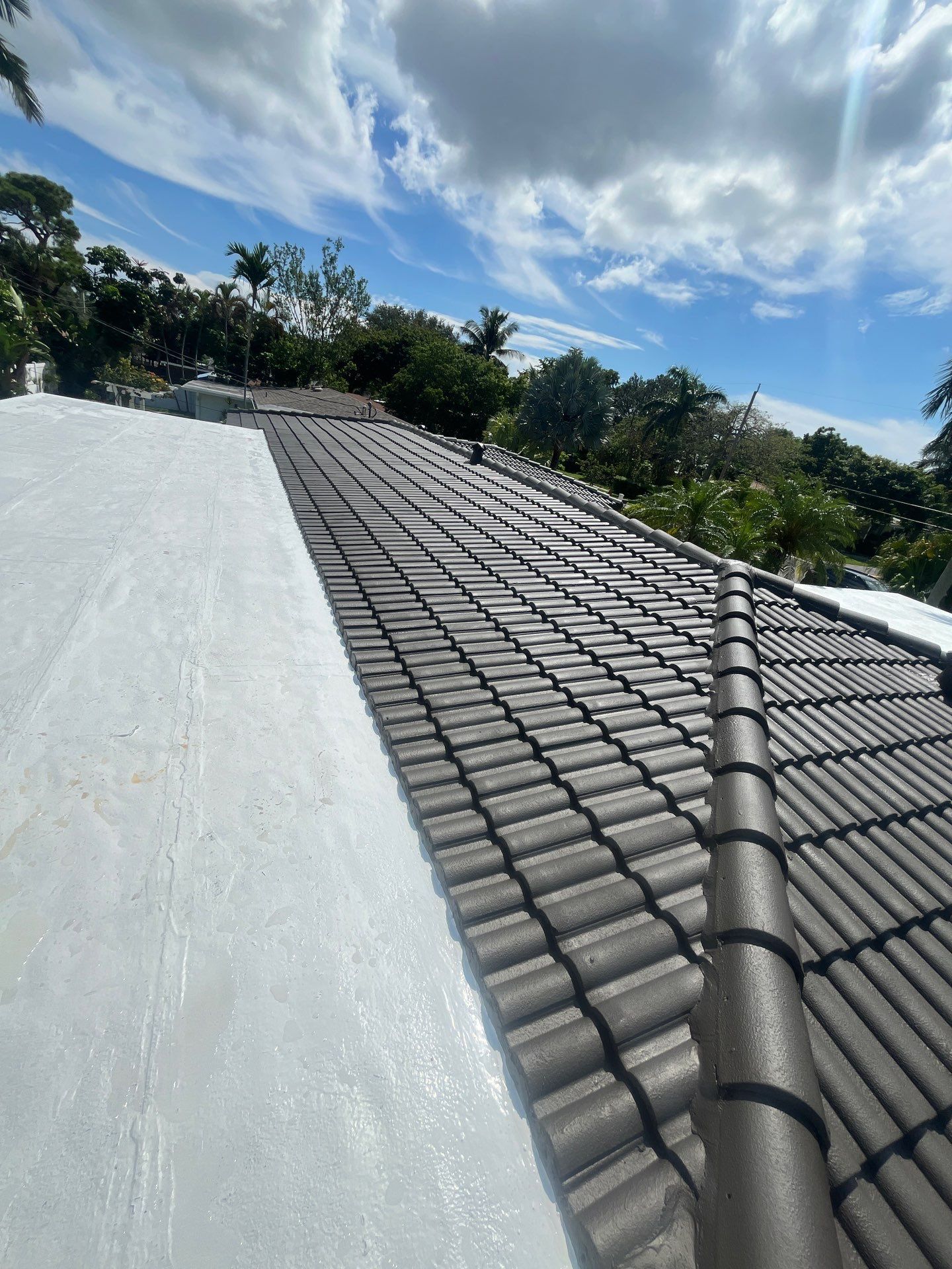 Exterior Painting by John “The Greek” Painting