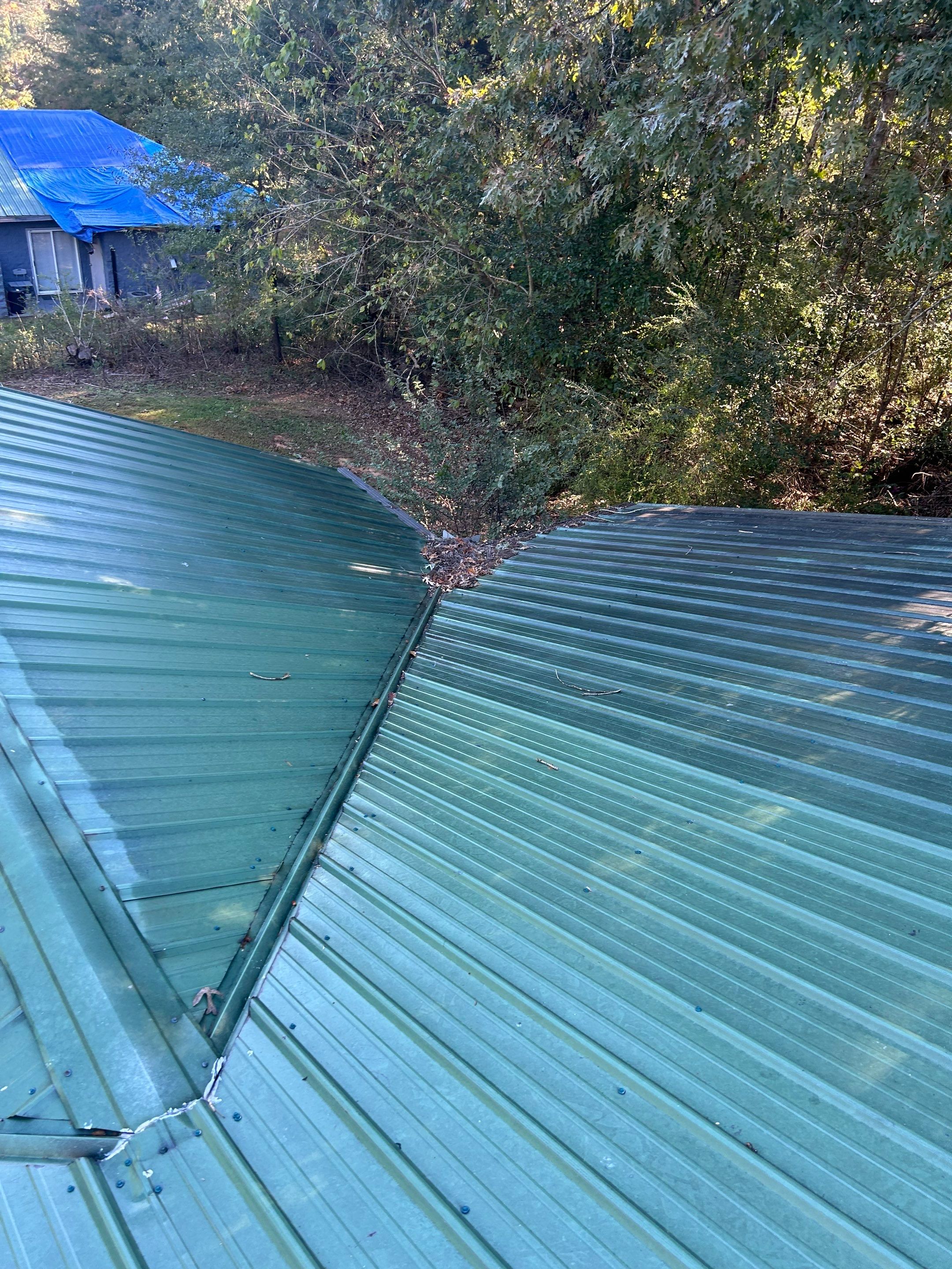 Tree Damage Repair and New Roof by Roofsters