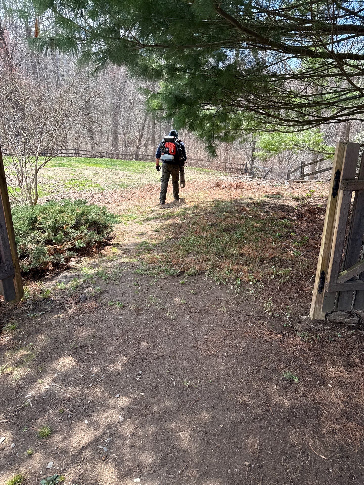 Comprehensive Spring Property Cleanup and Garden Bed Mulching in Orange by Diamond Image LLC