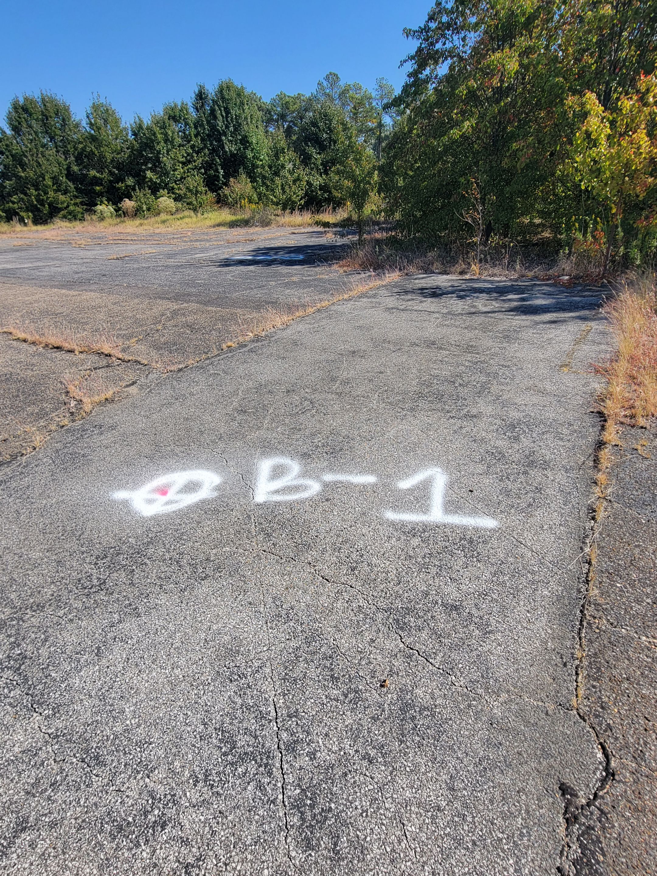 Soil Boring Locations by Alsip Locating Service, LLC