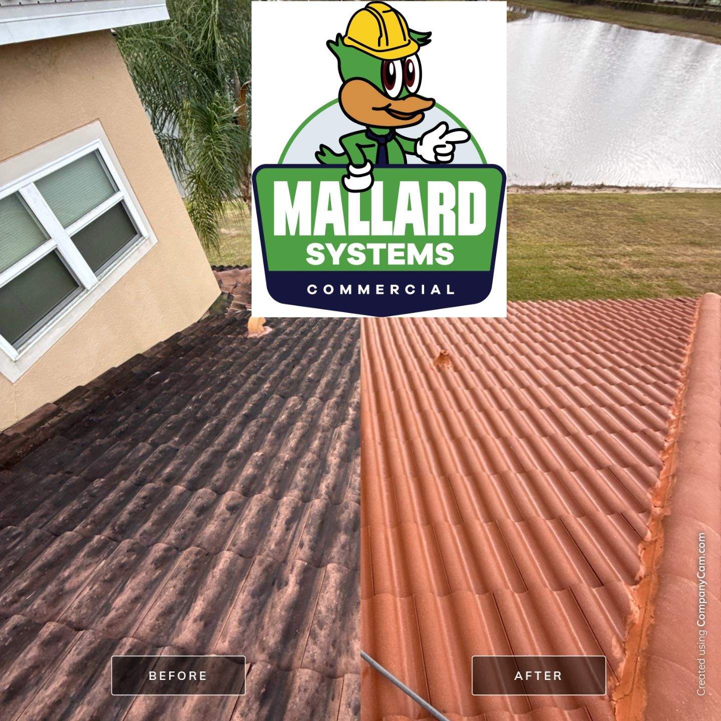 Tile Roof Cleaning by Mallard Systems