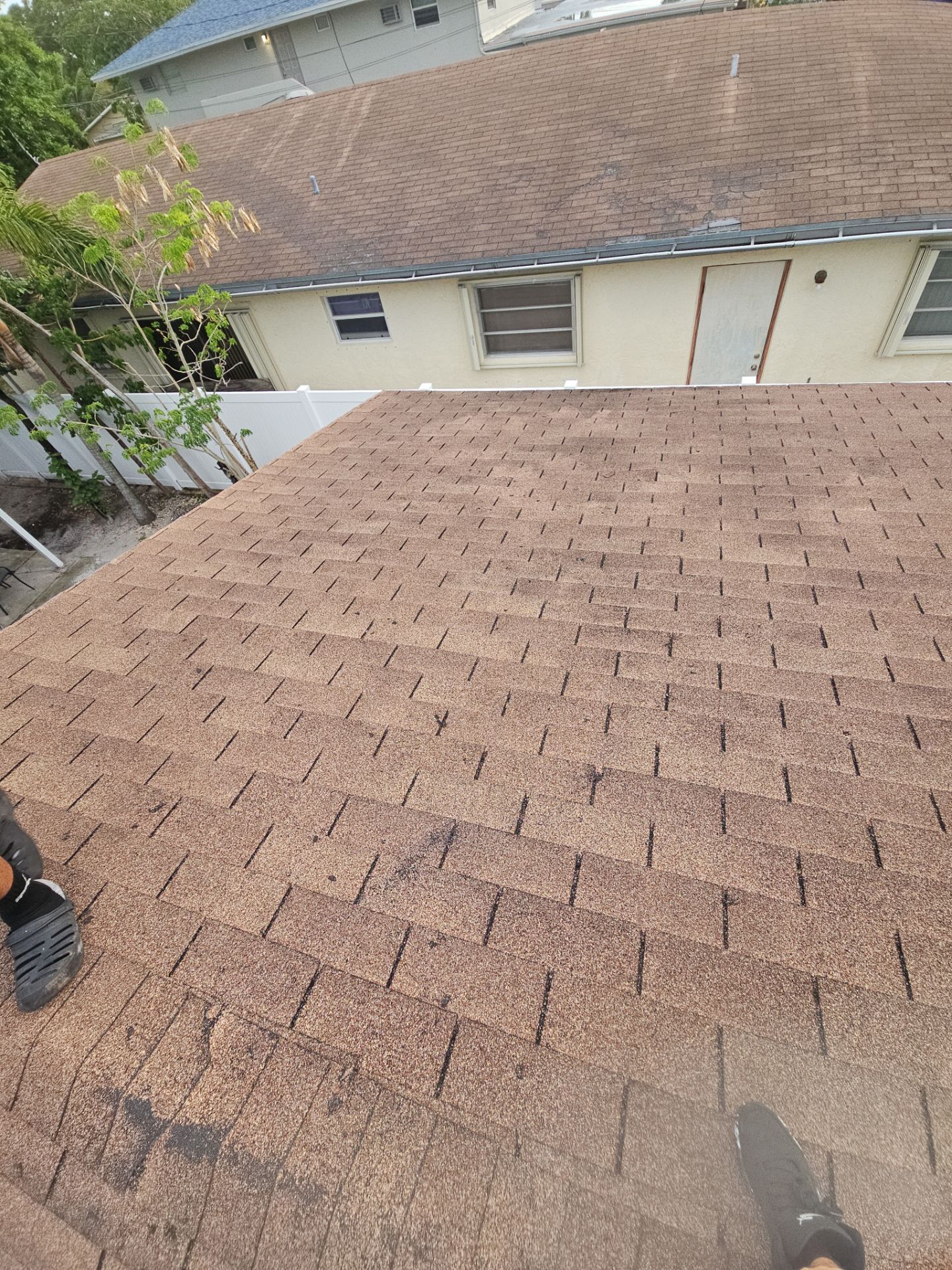 Project in Hollywood