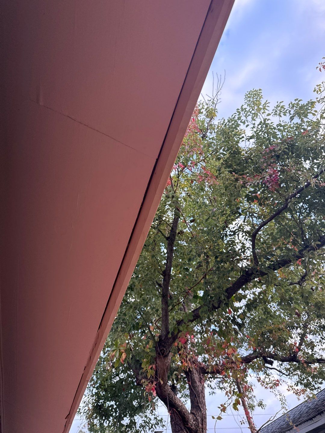 Project in St. Petersburg 33704 by Mitchell Roofing Company LLC