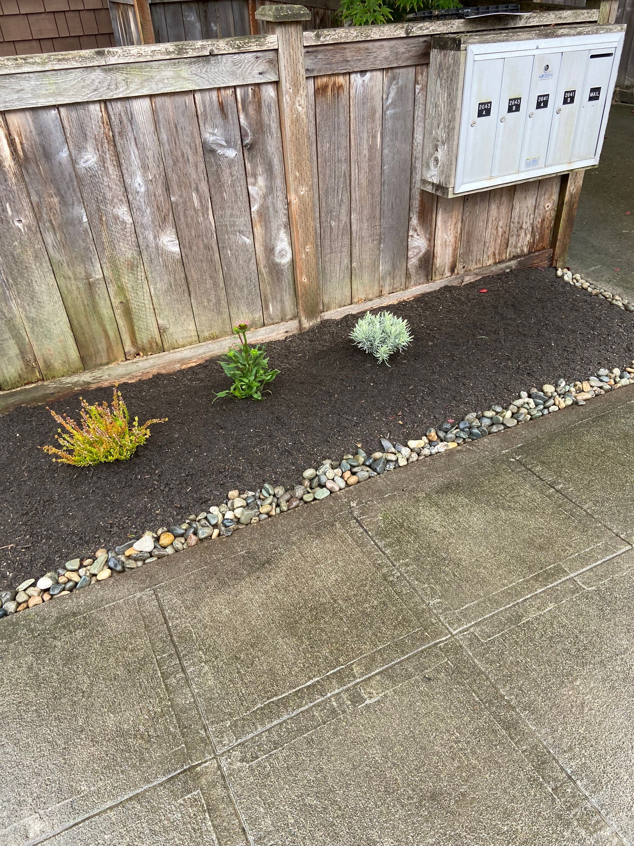 Paver Walkway & Turf Installation | Seattle  by Jireh Asphalt & Concrete Inc 