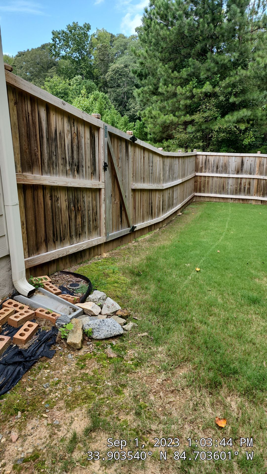 Fence Staining using Pecan by SSE by Titans of Timber Fence & Stain