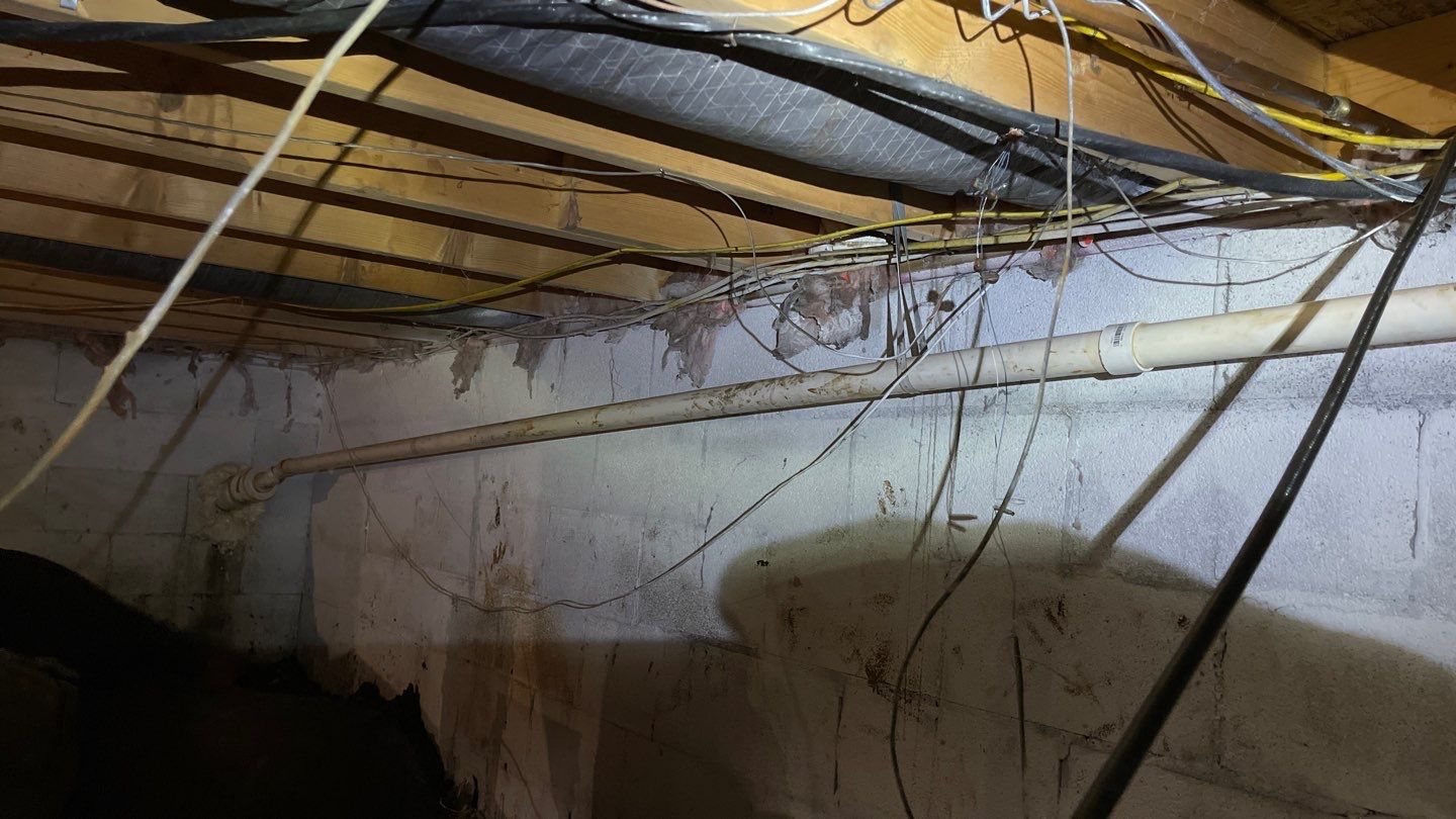 Crawl Space Waterproofing & Encapsulation using GrateProducts by Toledo Basement Repair