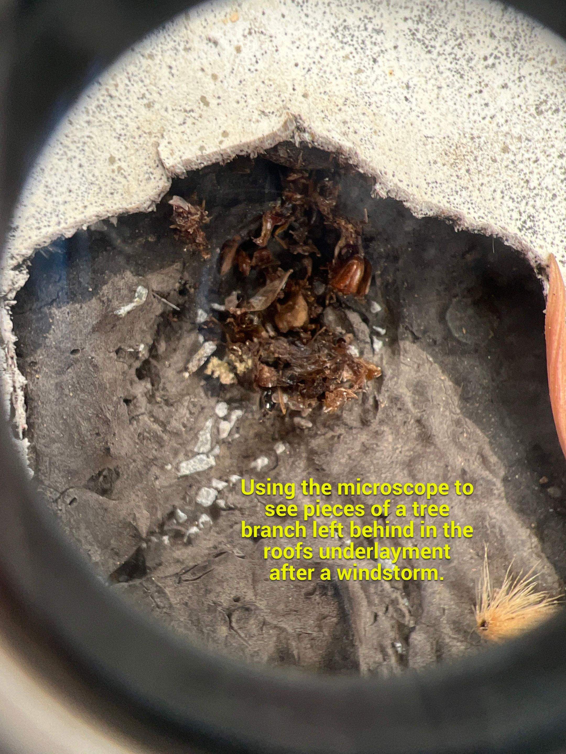 Inspection Highlights by EC Claims, LLC