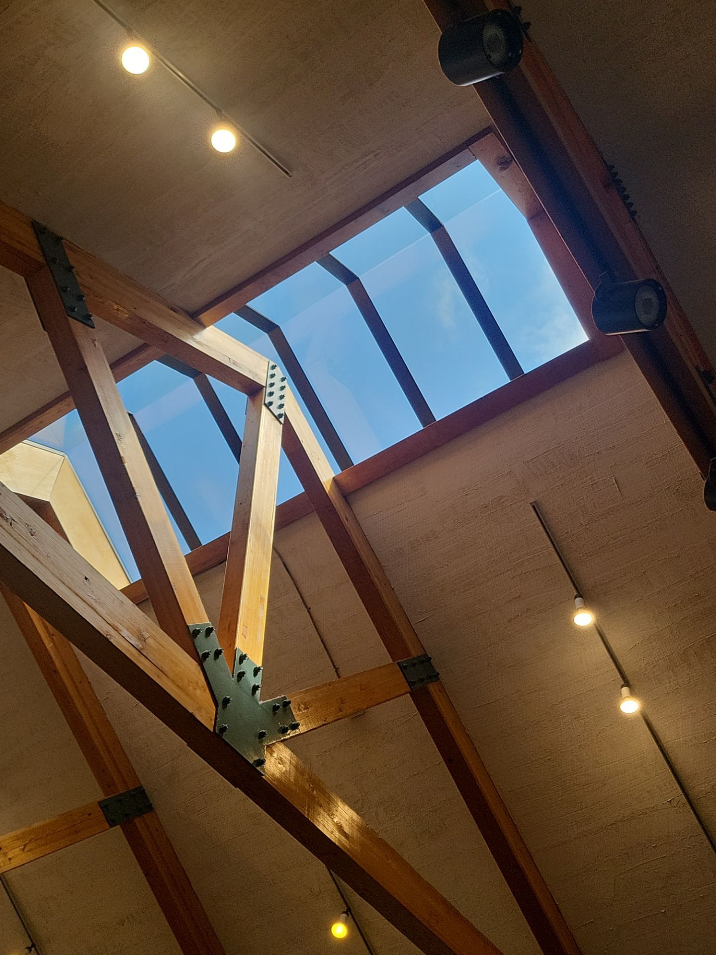 Asphalt Shingle and Skylight Replacement Project in Denver, CO by Blue Peaks Roofing LLC 