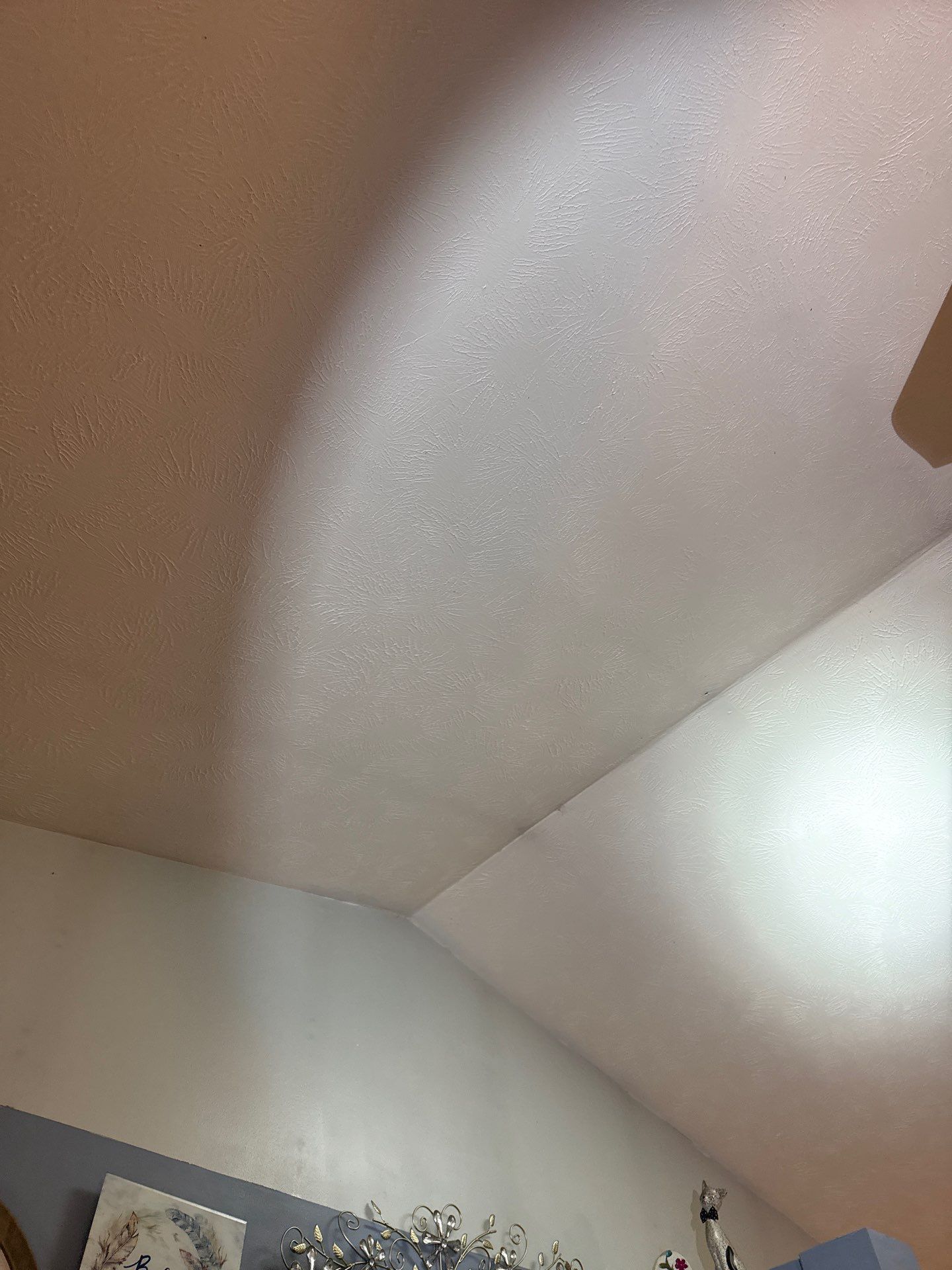 Roof replacement and interior repair by hail and wind damage by Just Brilliant Restoration JBR